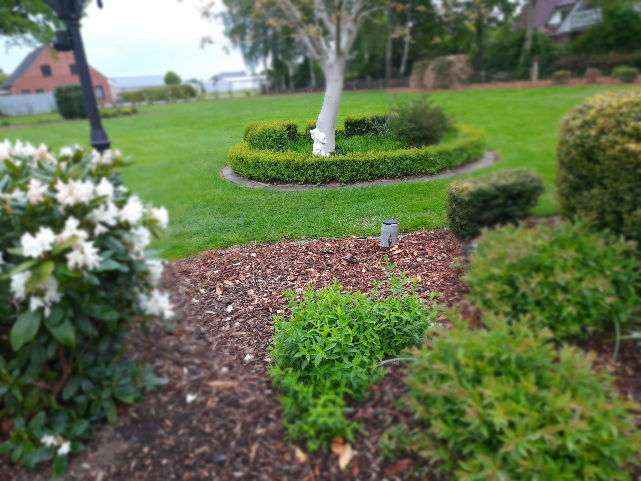 Fewo Schlingshöhe-Dehors