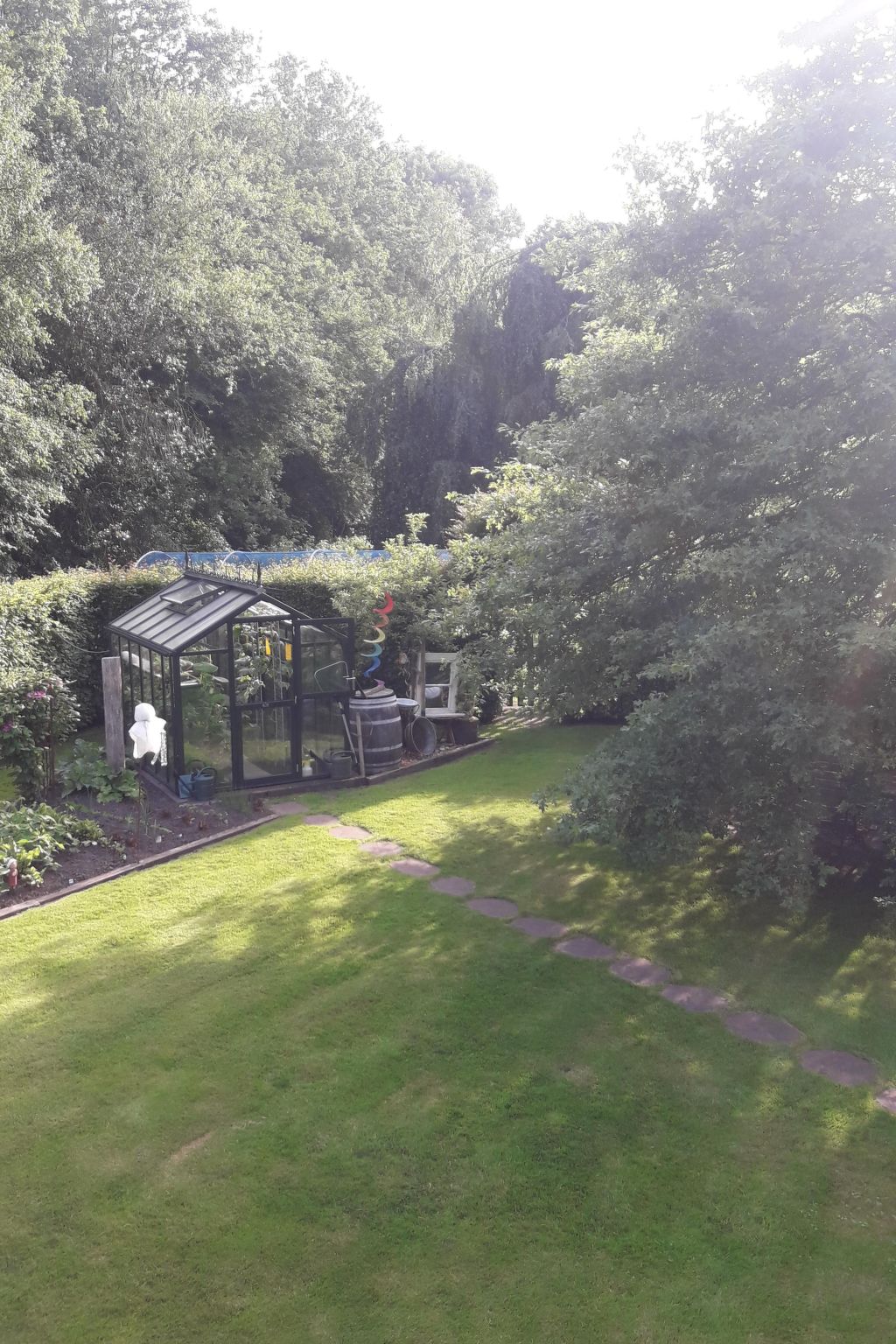 Am Wald-Image-tags.info