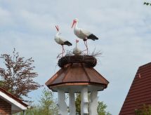 Storchennest: Vrijstaand vakantiehuis aan het meer in Wiefelstede - thumbnail 4