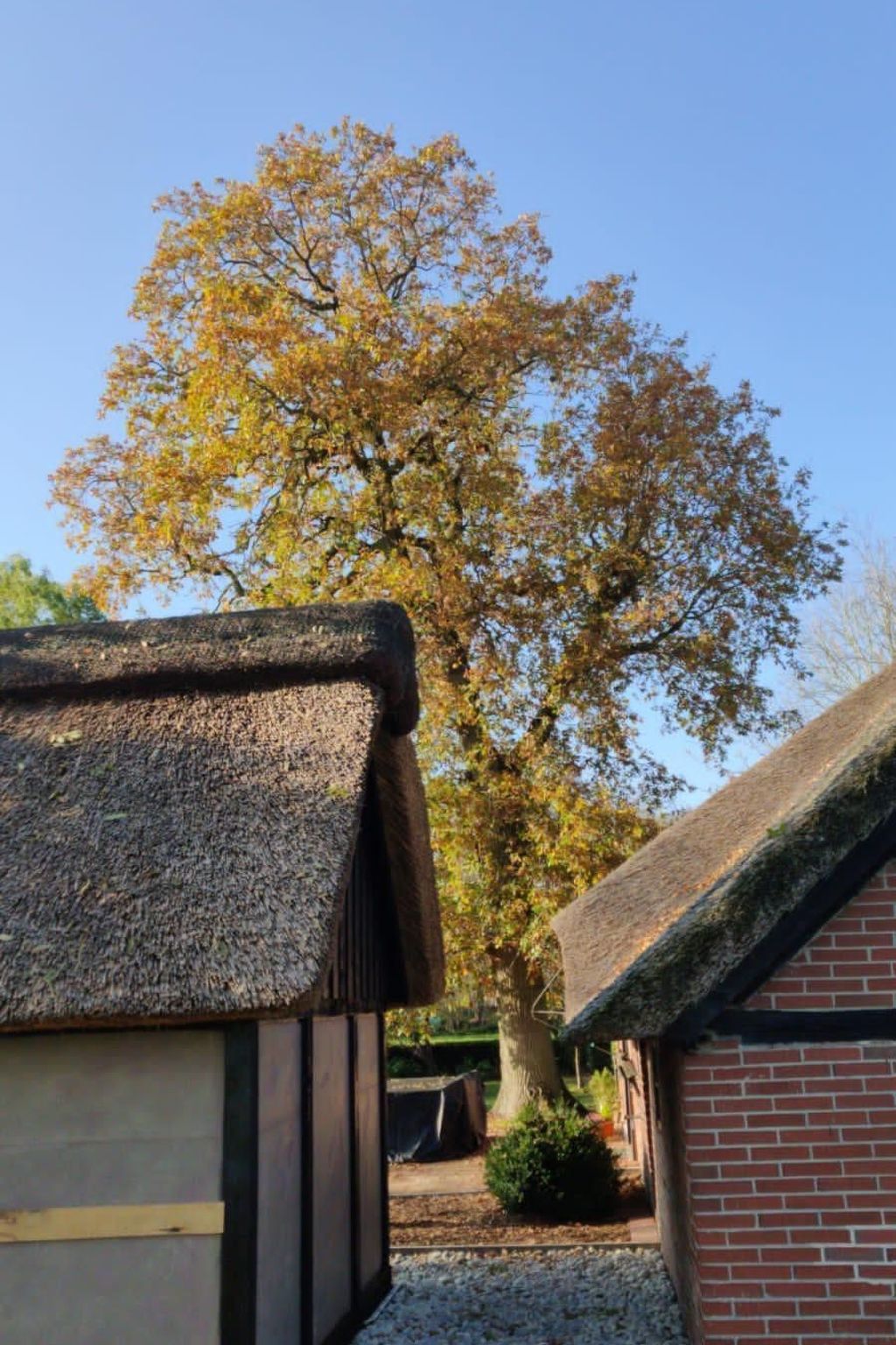 Reethaus Jadebusen-Drinnen