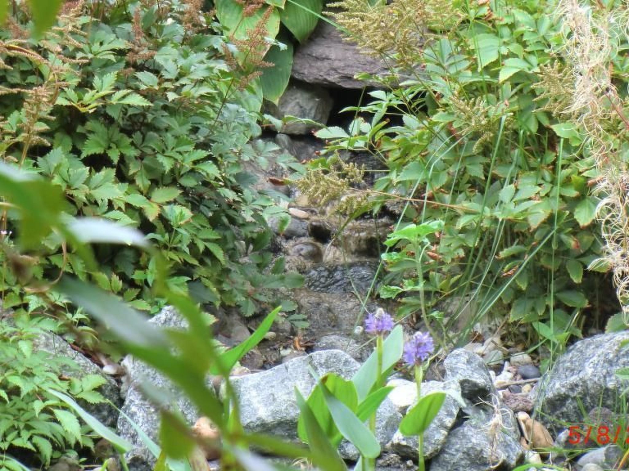 Appartement mit Blick auf das Wasser-Binnen