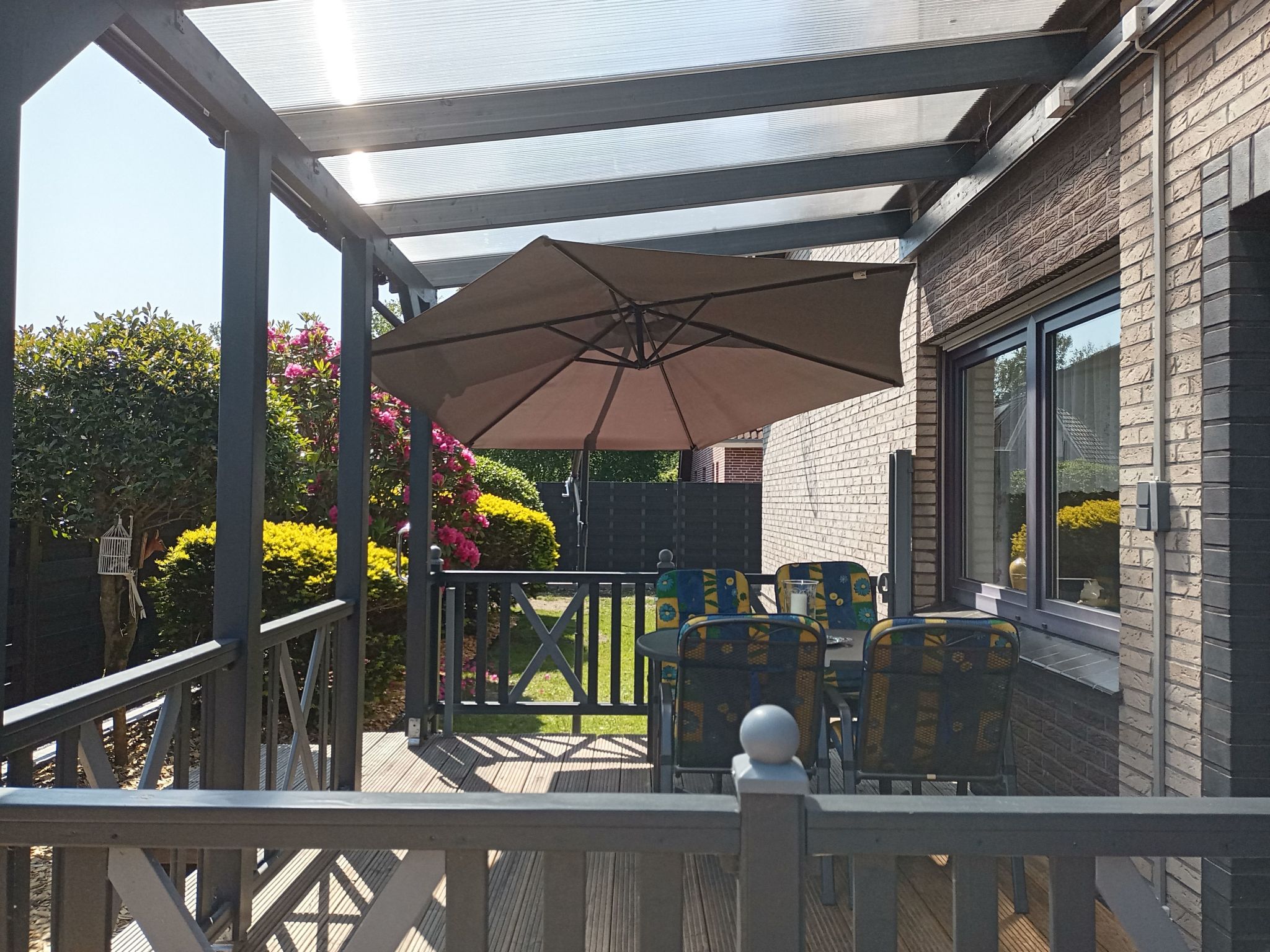 Zwei Finken in Wiesmoor-Binnen