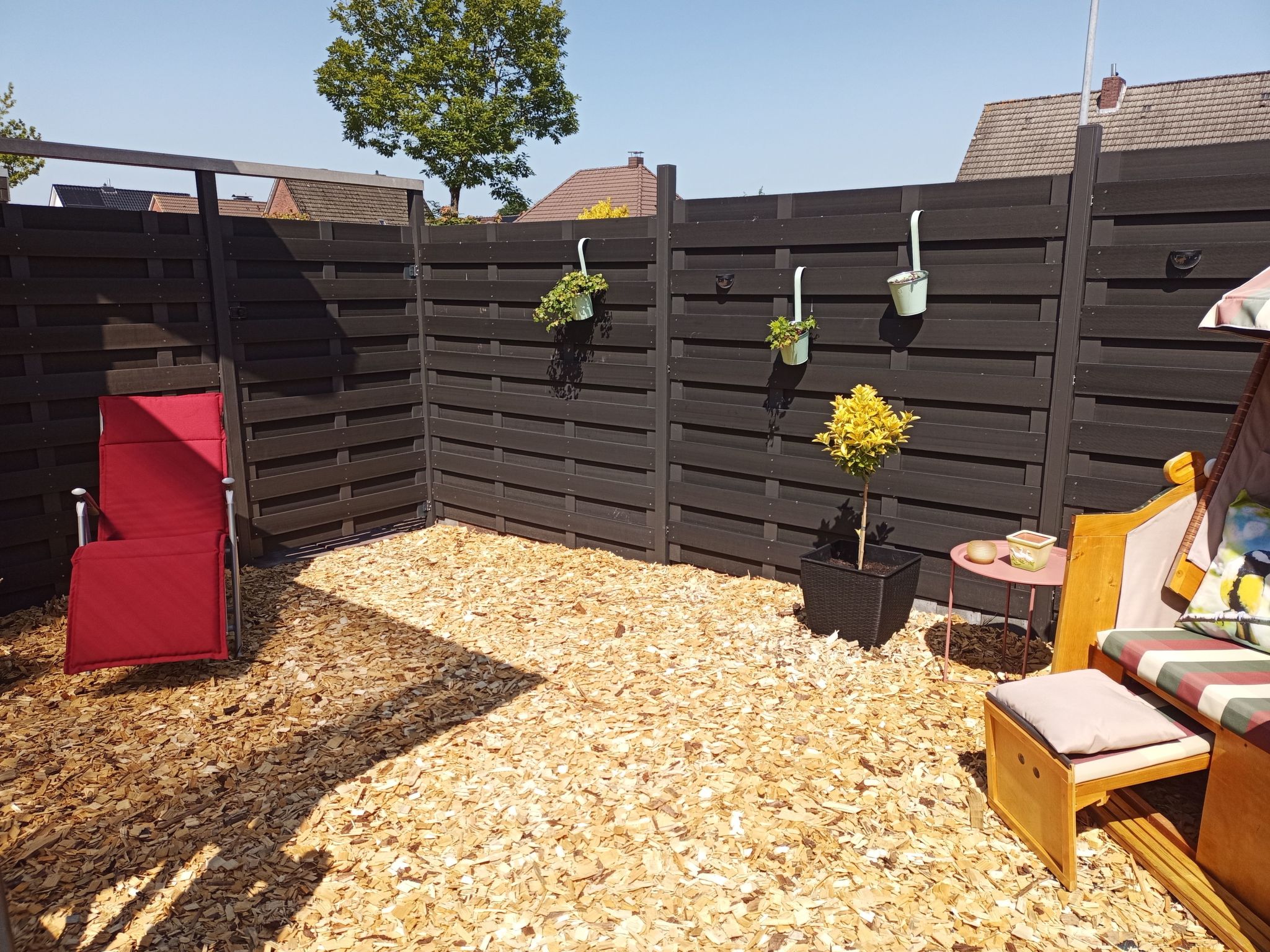 Zwei Finken in Wiesmoor-Binnen