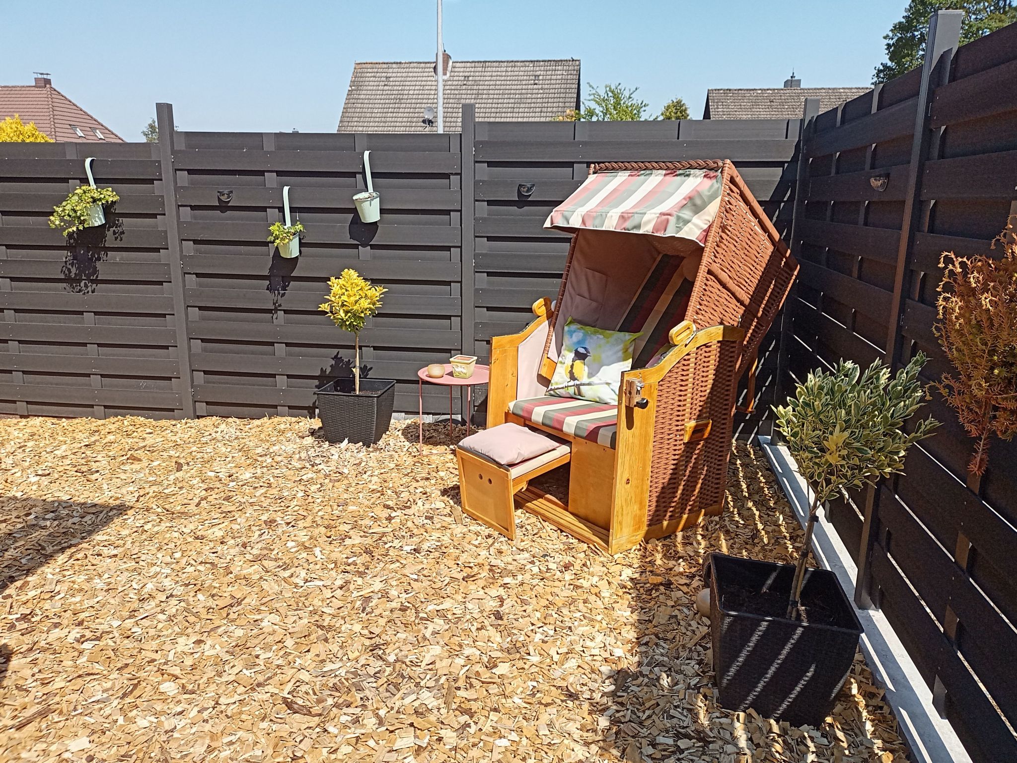 Zwei Finken in Wiesmoor-Binnen