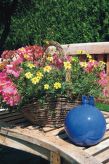 Vrijstaande bungalow aan de golfbaan in Wiesmoor met grote tuin - thumbnail 5