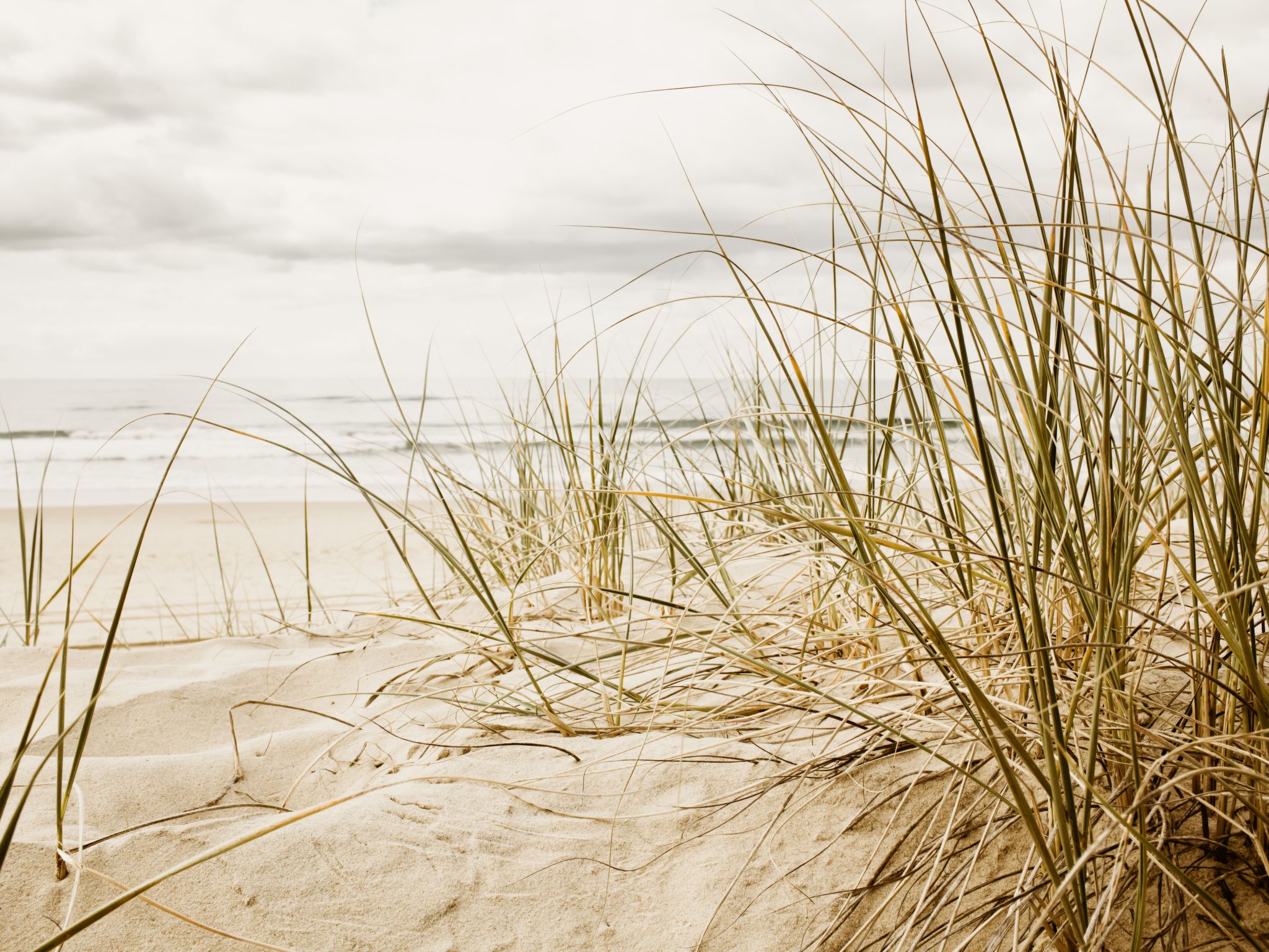 DünenHuuske "InselFreid" mit Sauna auf Spiekeroog-Image-tags.info