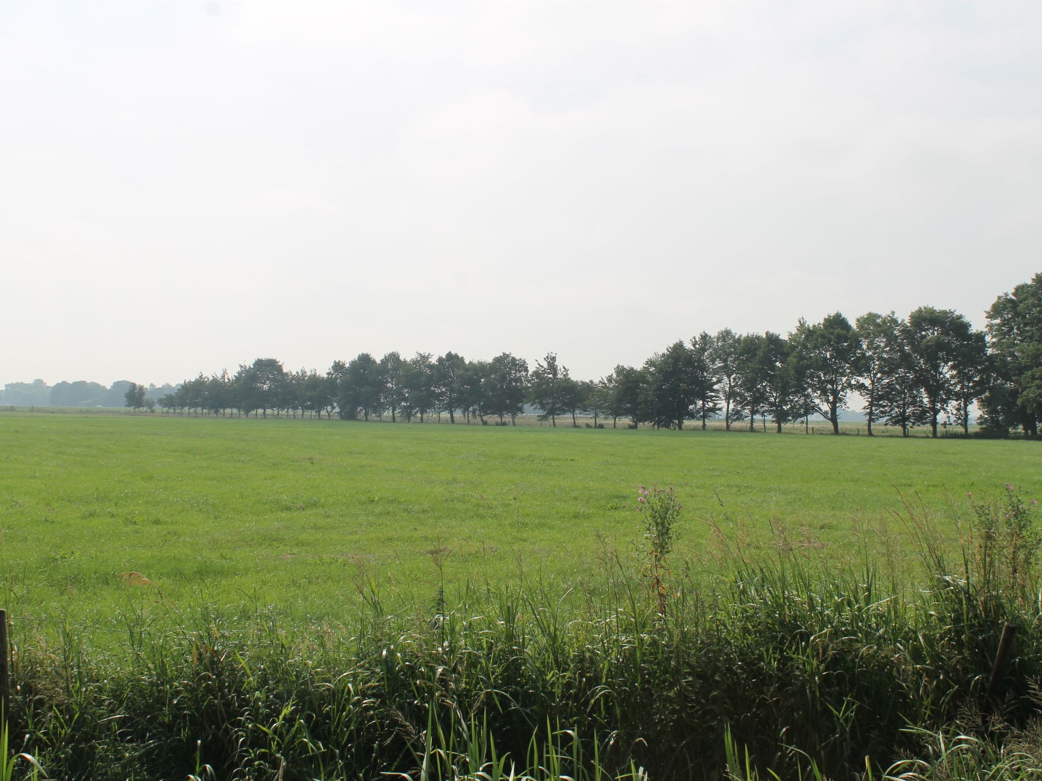 Gemütliche Wohnung in Norderschweiburg