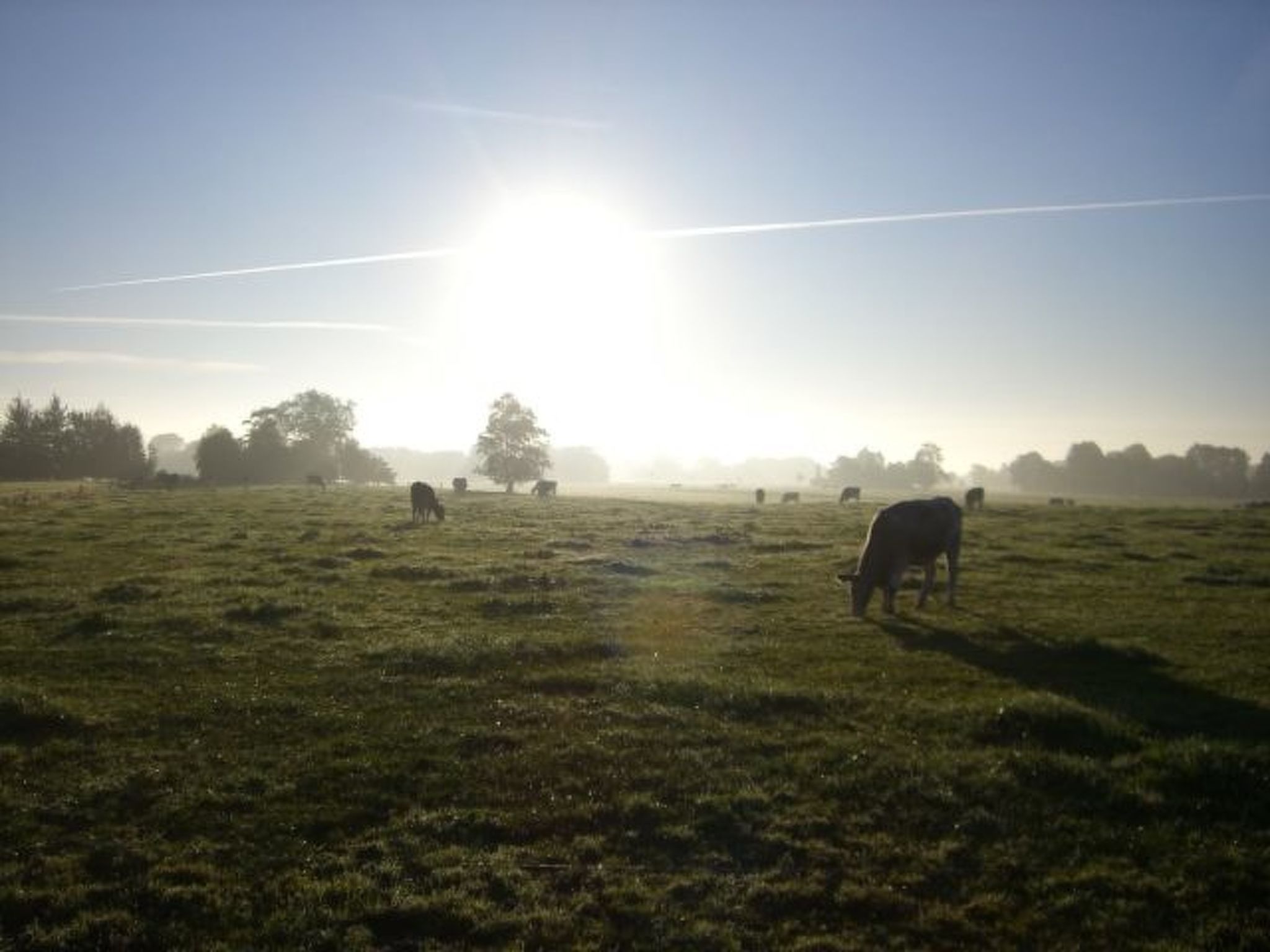 Barrierefreies Ferienhaus mit großem Grundstück-Image-tags.info