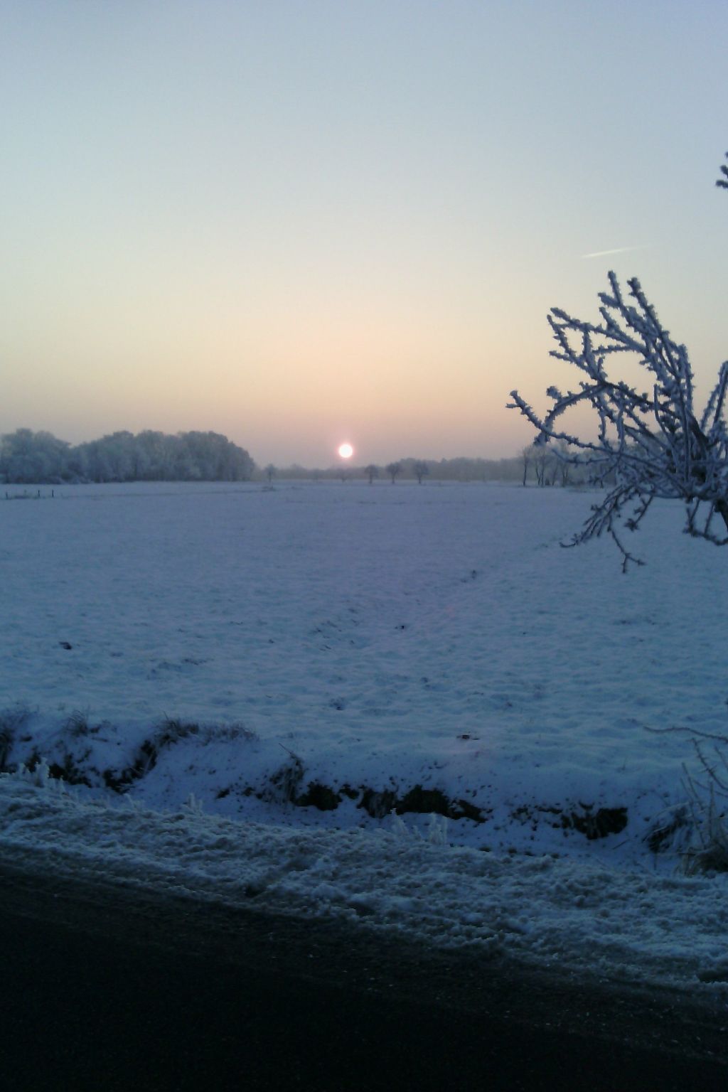 Barrierefreies Ferienhaus mit großem Grundstück-Image-tags.info