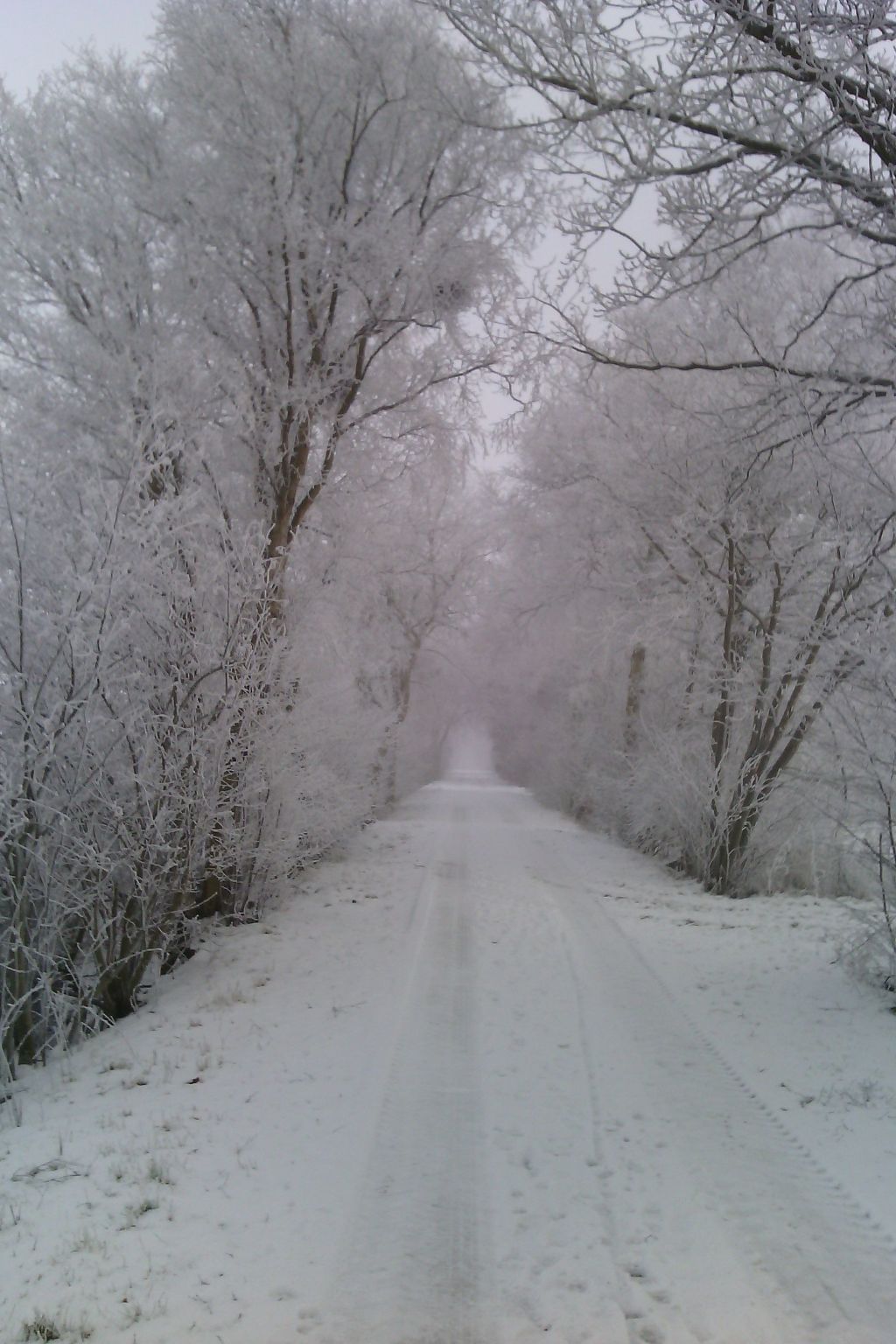 Barrierefreies Ferienhaus mit großem Grundstück-Image-tags.info