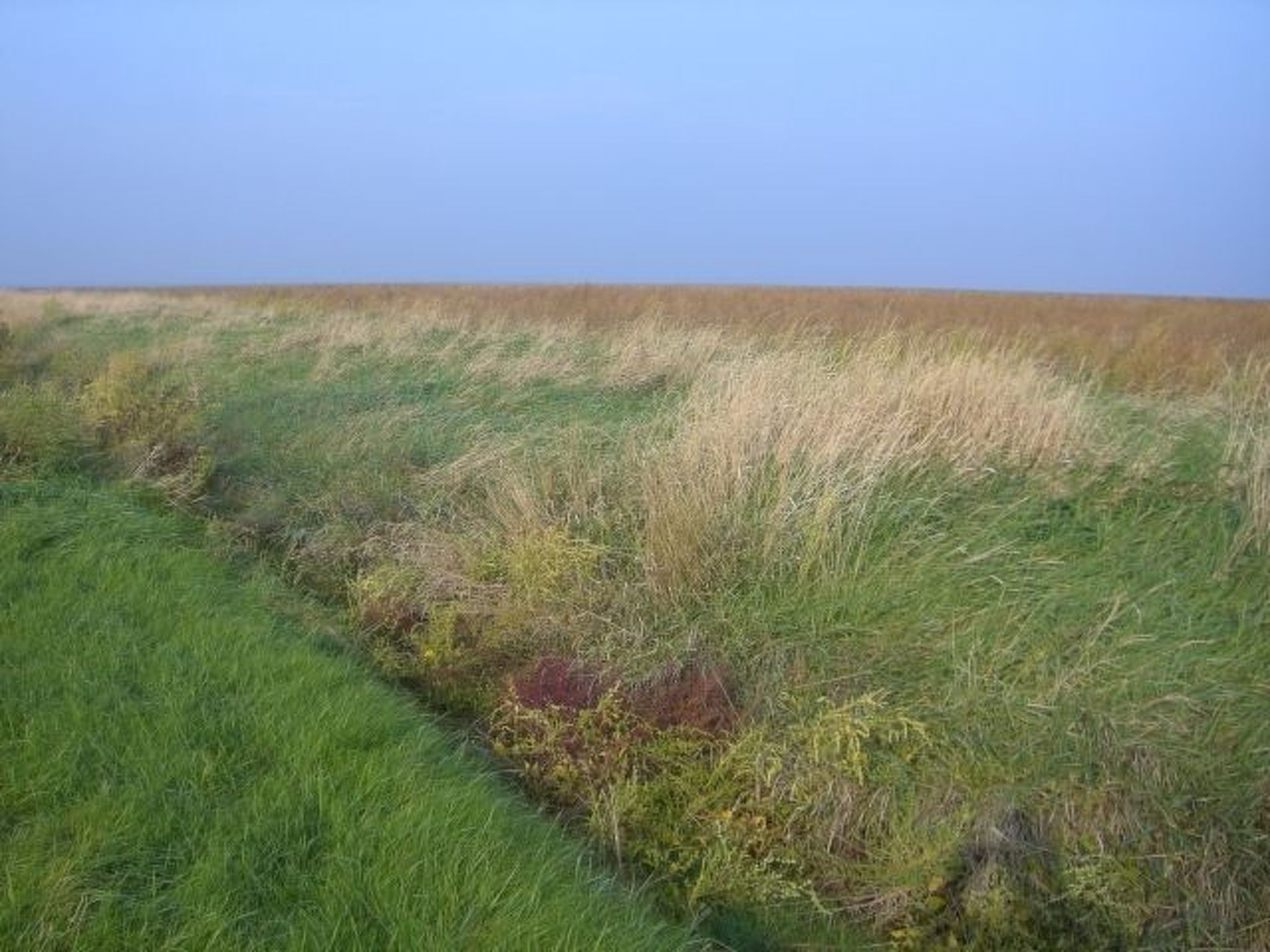 Barrierefreies Ferienhaus mit großem Grundstück-Image-tags.info