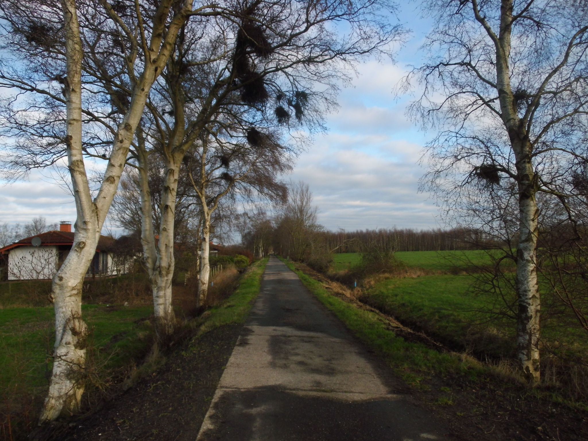 In Sehestedt mit Garten-Image-tags.info