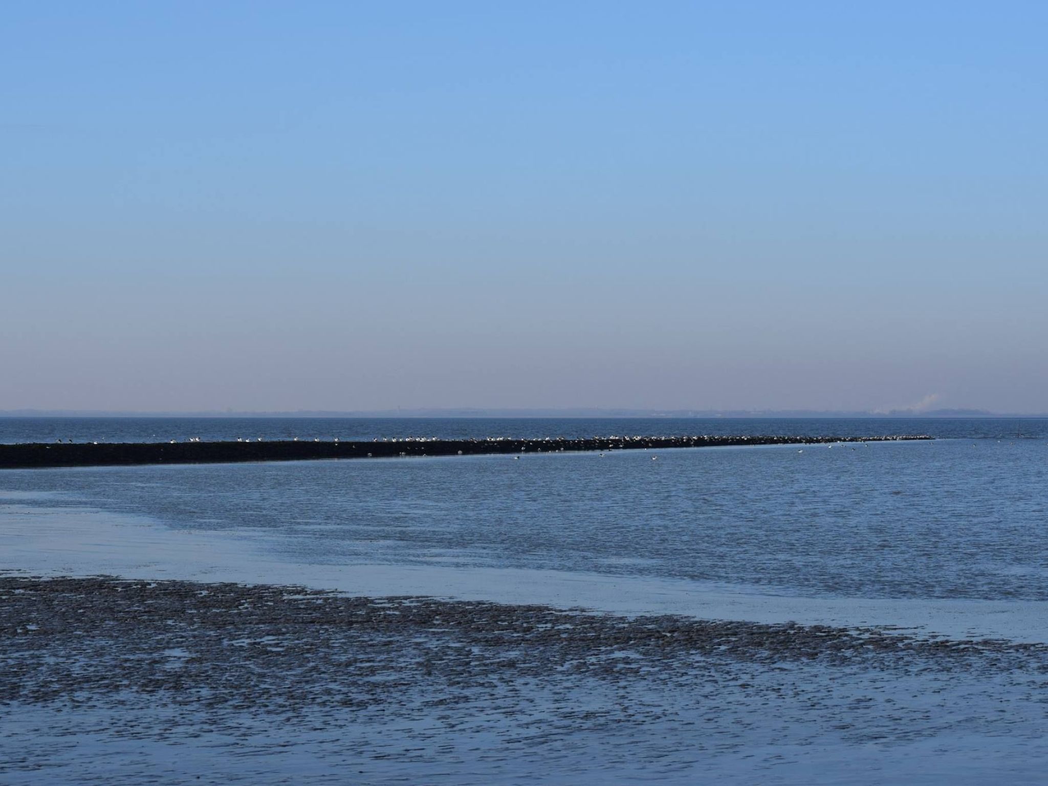 In Sehestedt mit Garten-Image-tags.info