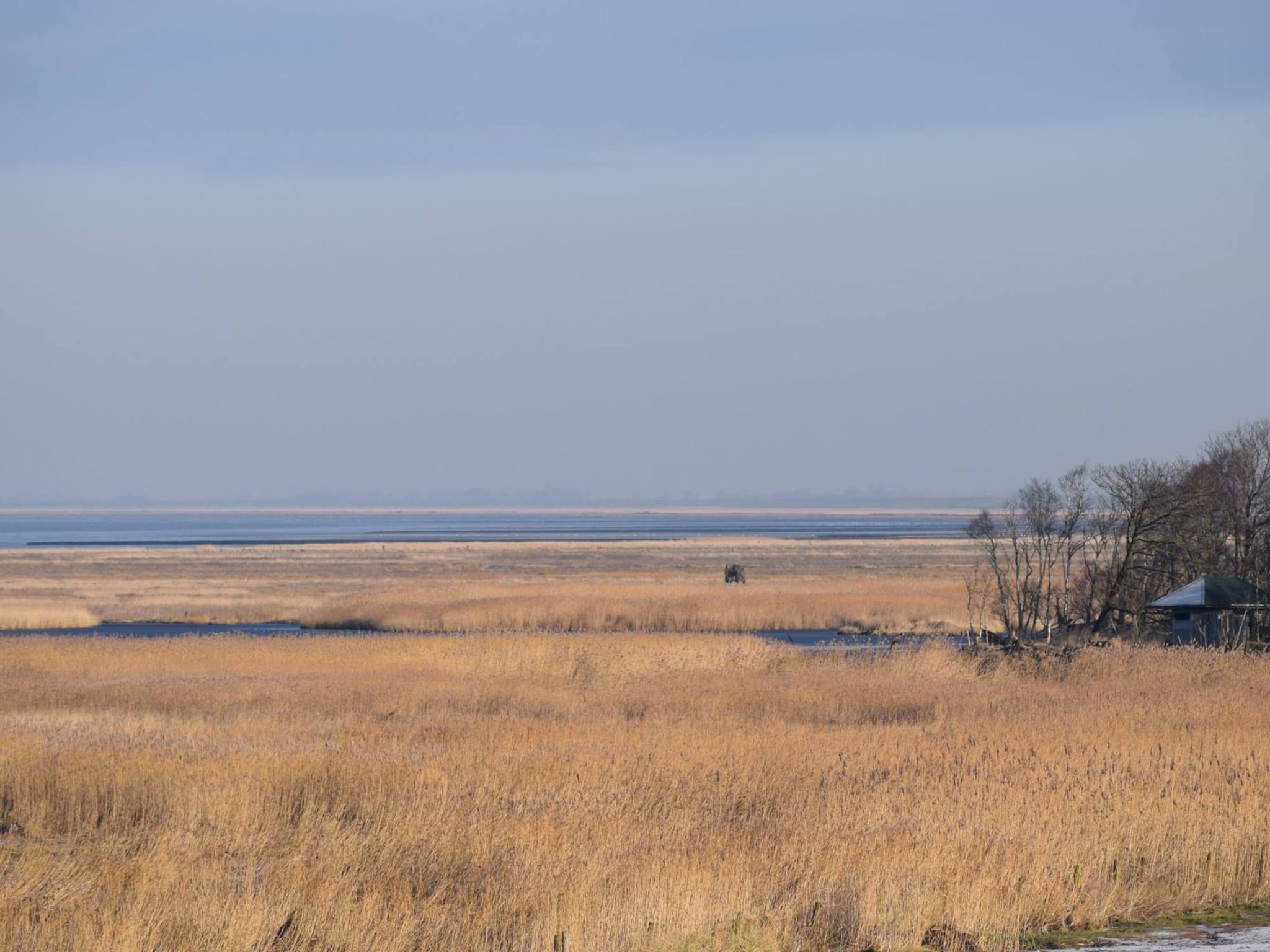 In Sehestedt mit Garten-Image-tags.info