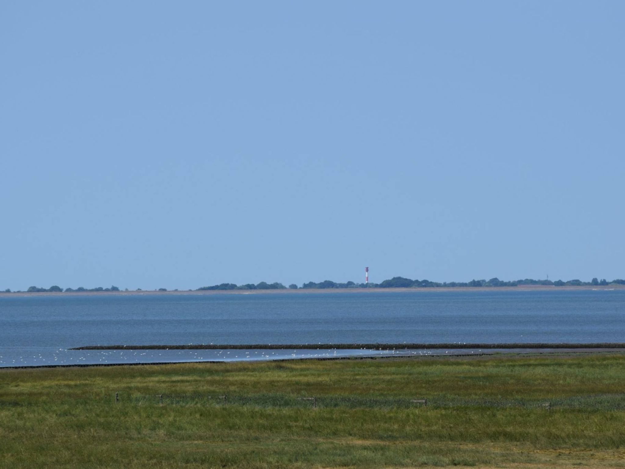 In Sehestedt mit Garten-Image-tags.info