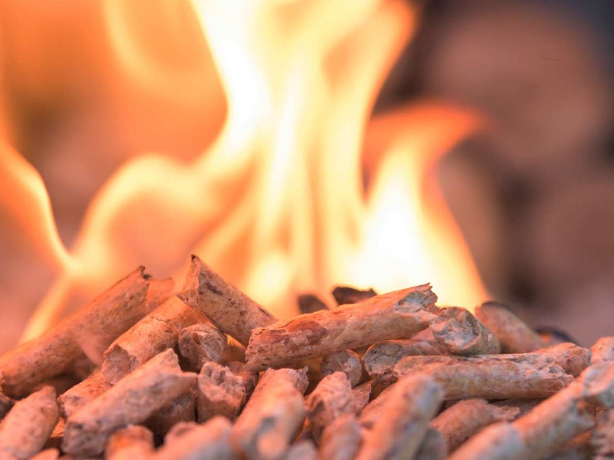 In Sehestedt mit Garten-Image-tags.info