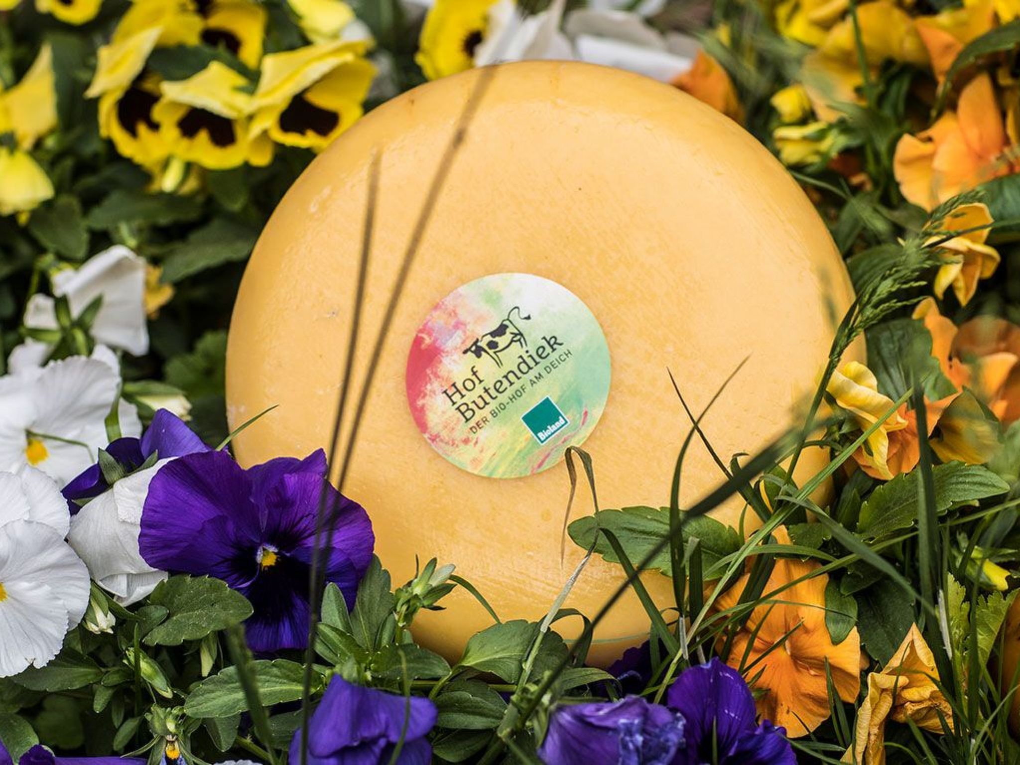 In Sehestedt mit Garten-Image-tags.info