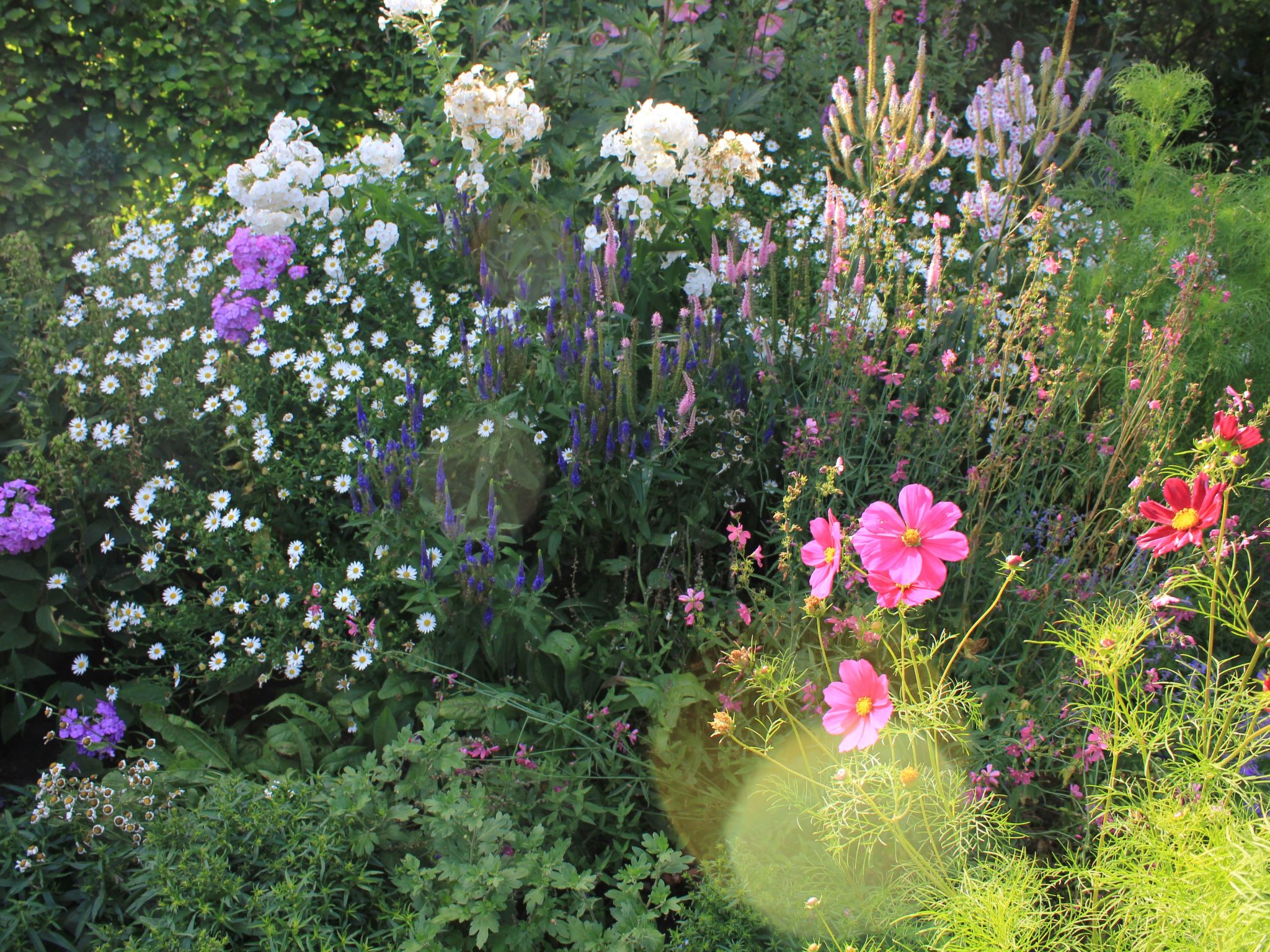 Appartement mit Wallbox-Image-tags.info