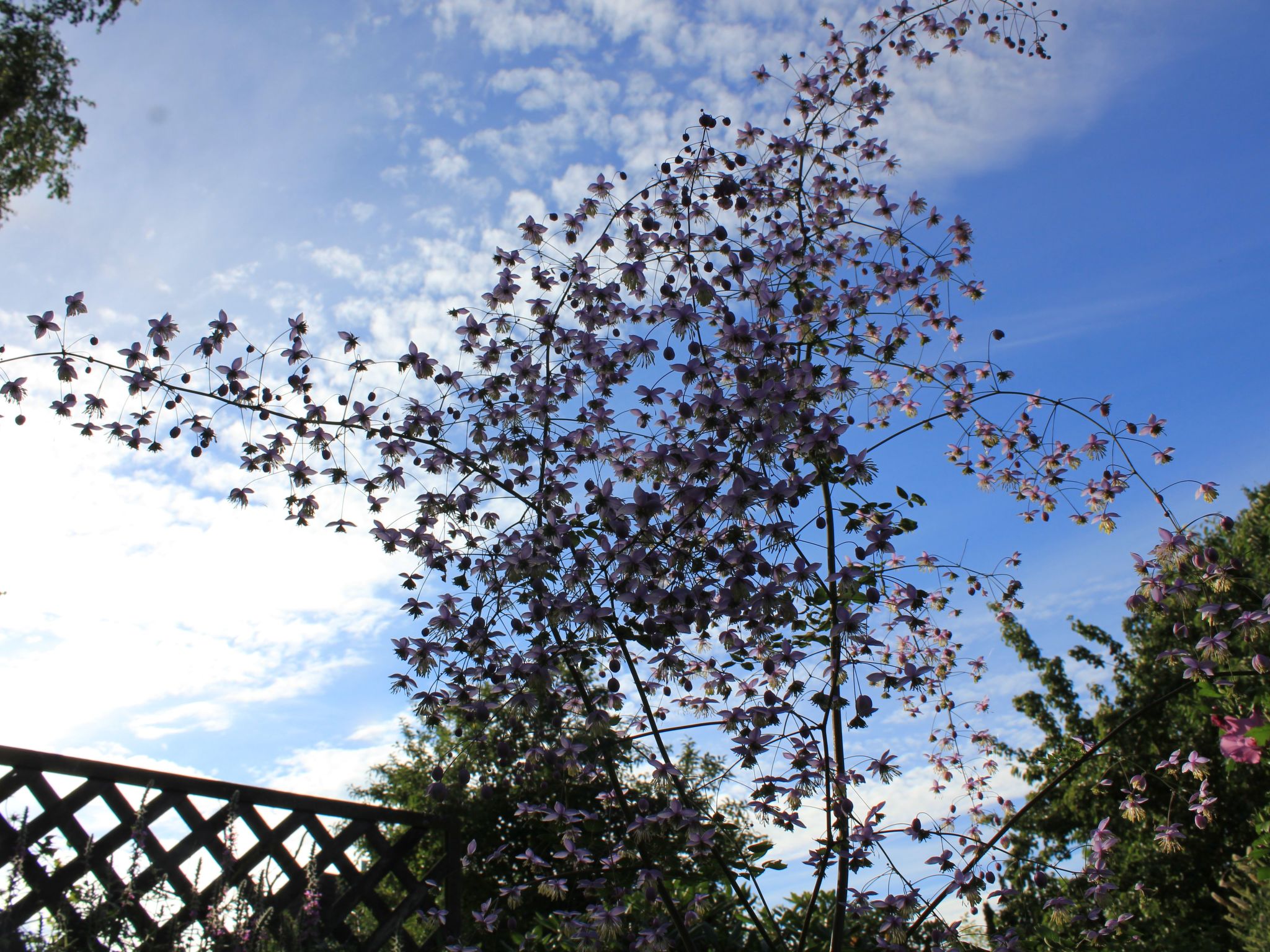 Appartement mit Wallbox-Image-tags.info