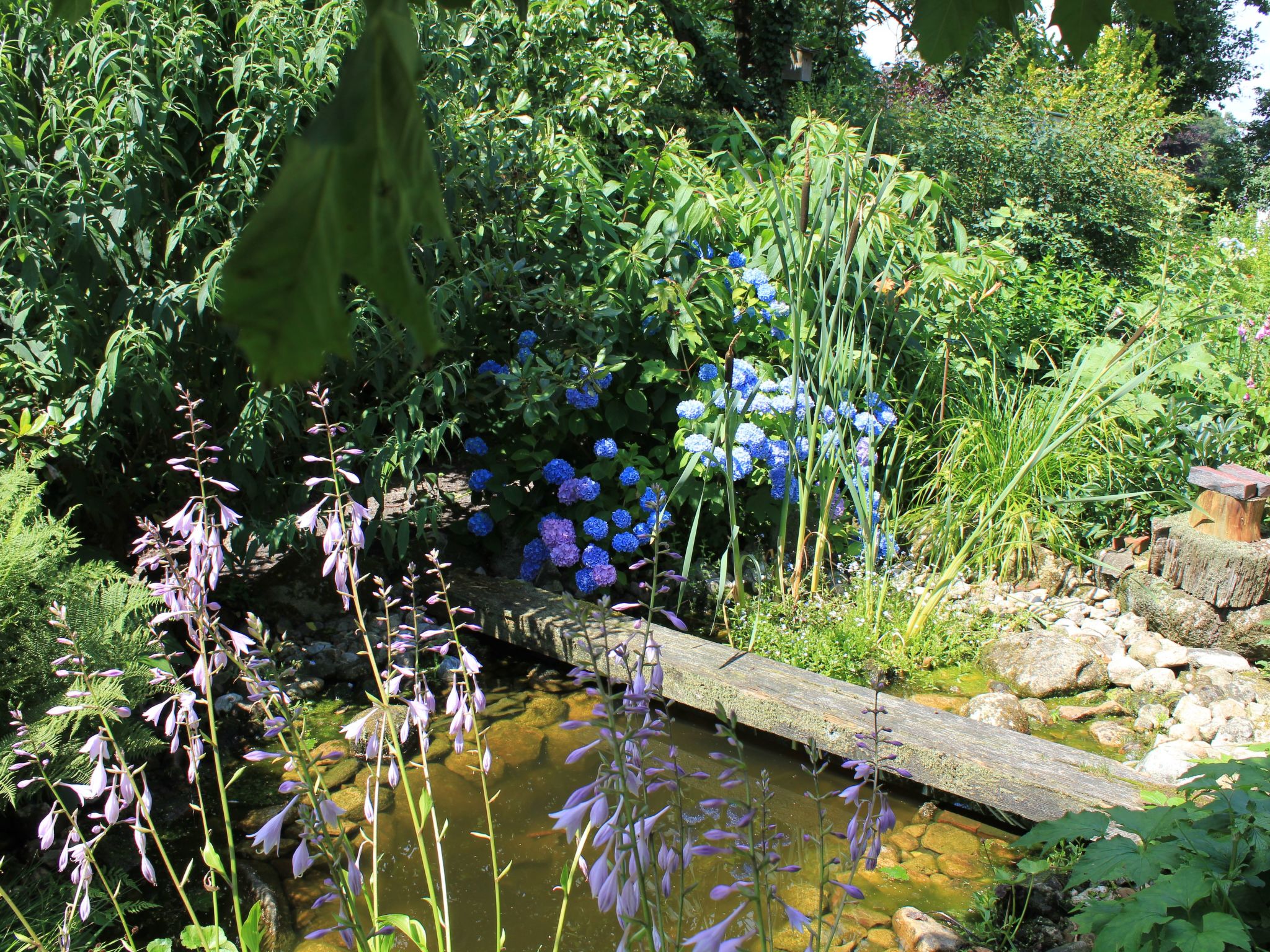 Appartement mit Wallbox-Image-tags.info