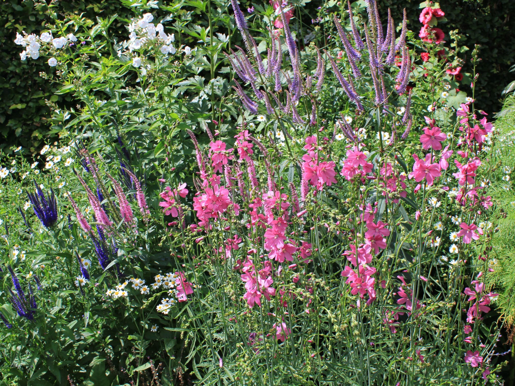 Appartement mit Wallbox-Image-tags.info