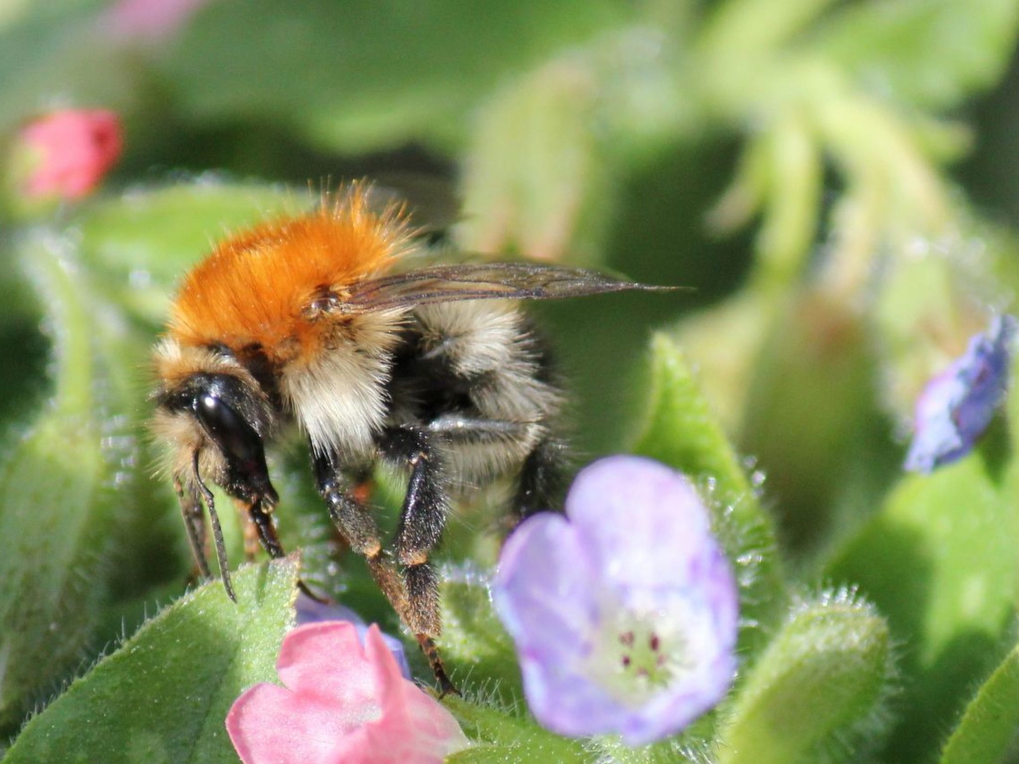 Appartement mit Wallbox-Image-tags.info