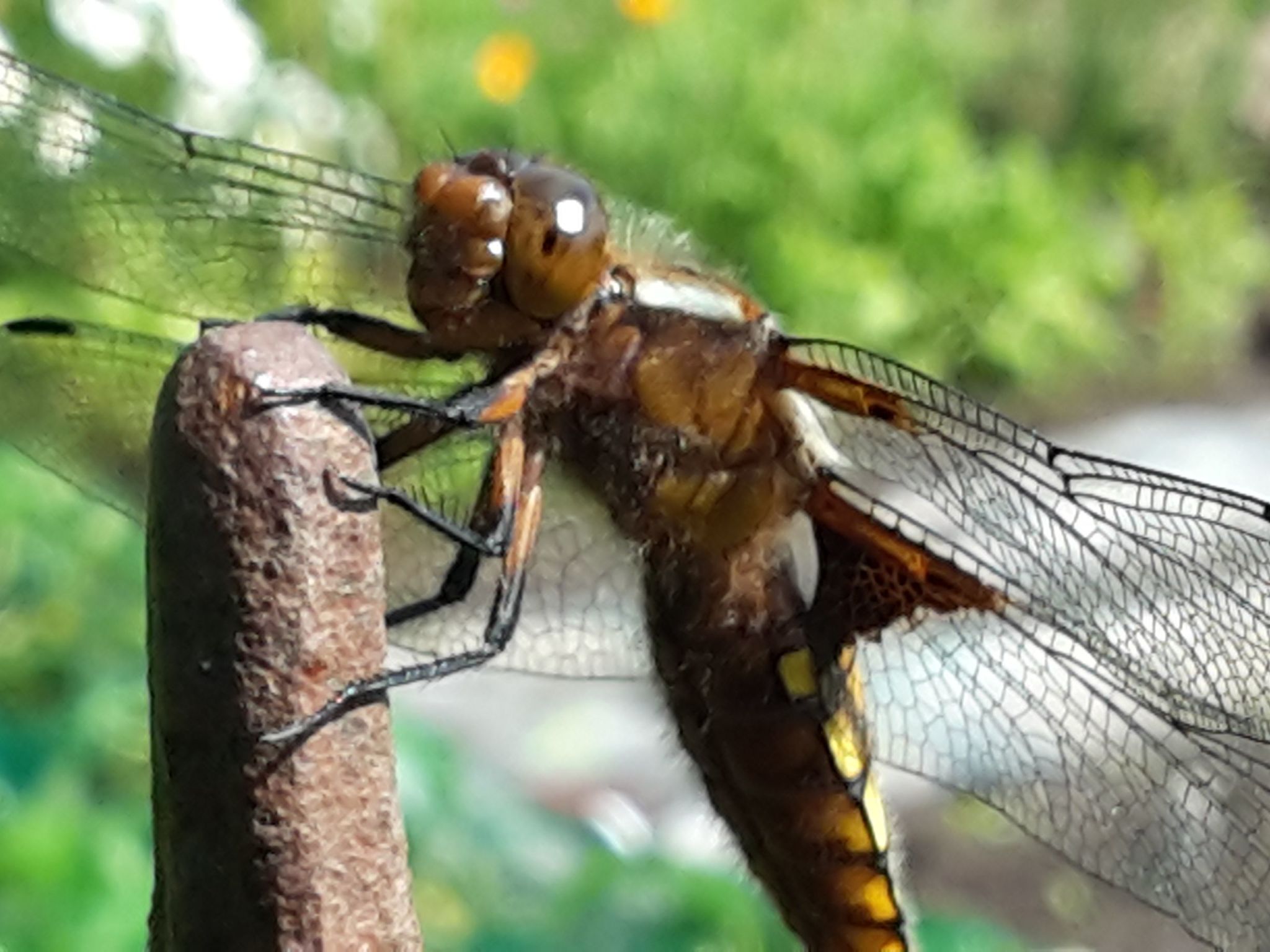 Appartement mit Wallbox-Image-tags.info