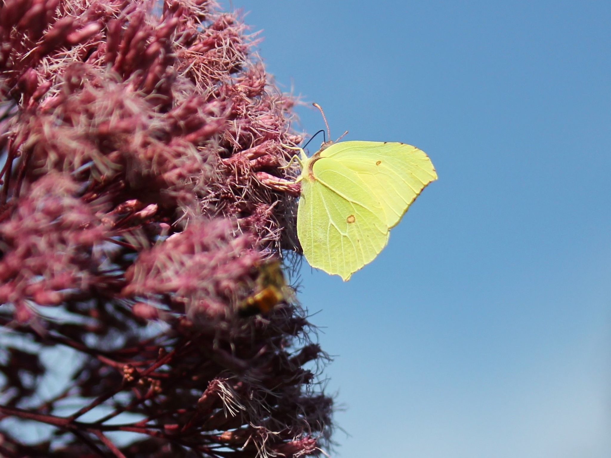 Appartement mit Wallbox-Image-tags.info