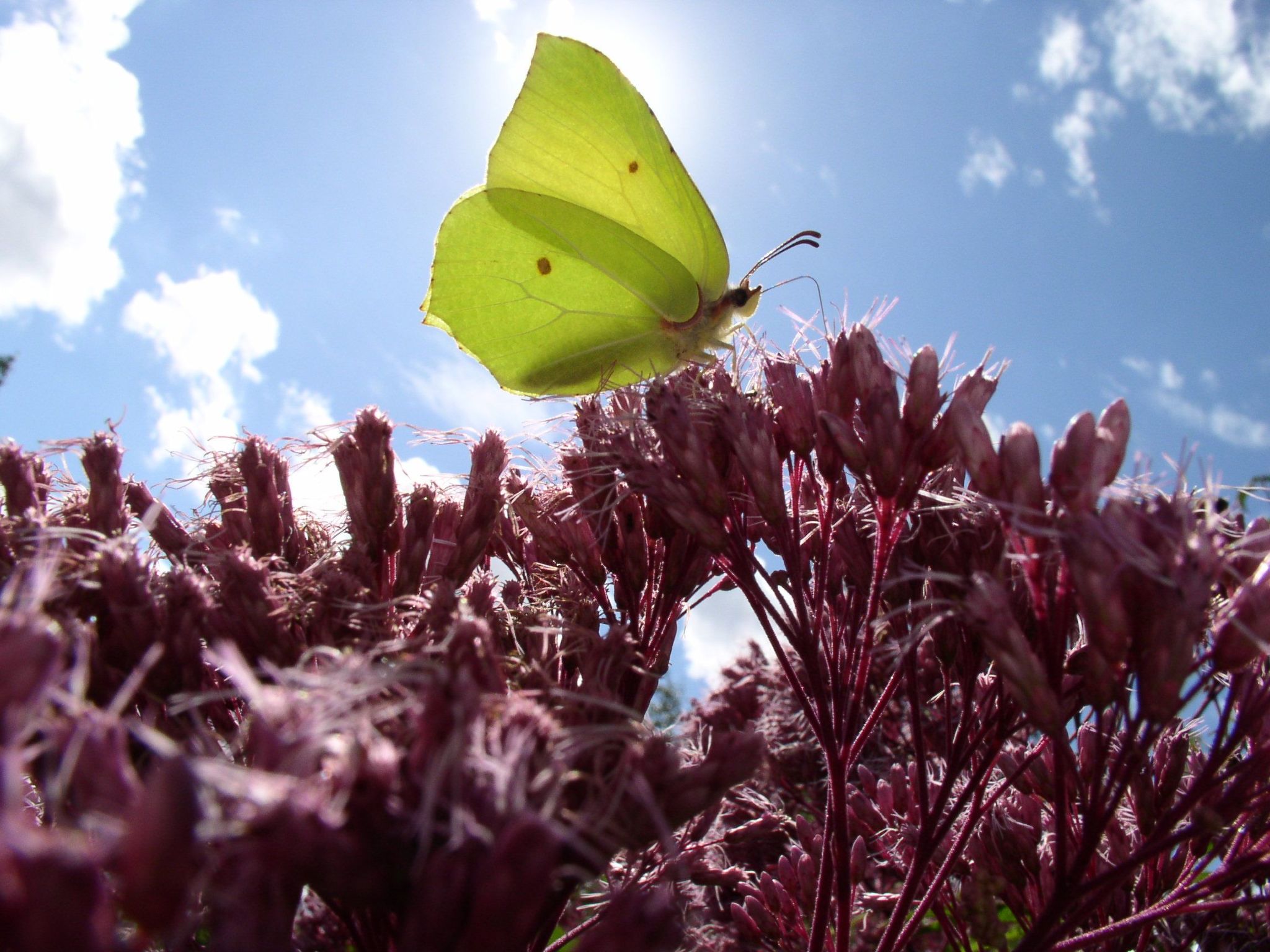 Appartement mit Wallbox-Image-tags.info