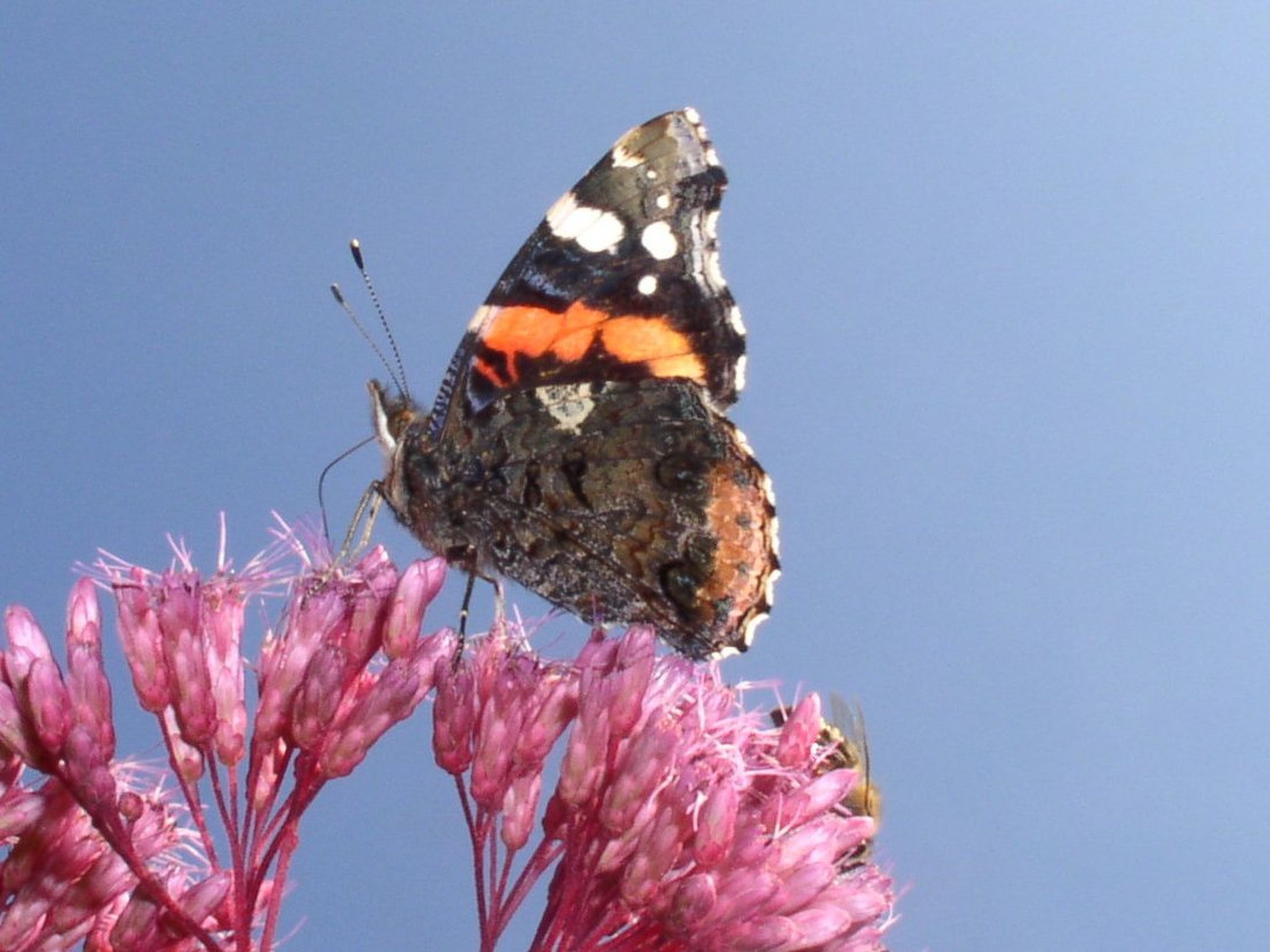 Appartement mit Wallbox-Image-tags.info