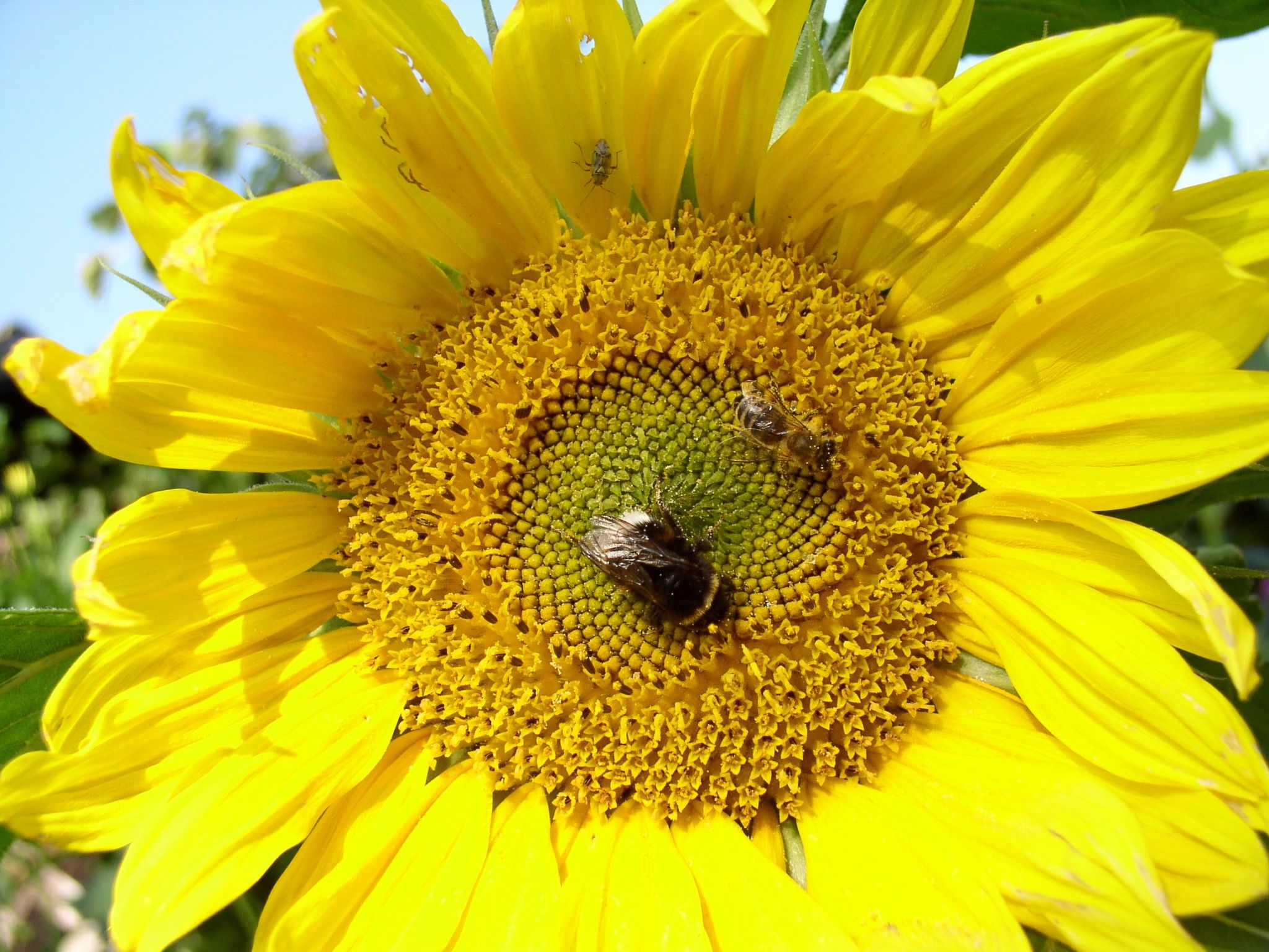 Appartement mit Wallbox-Image-tags.info