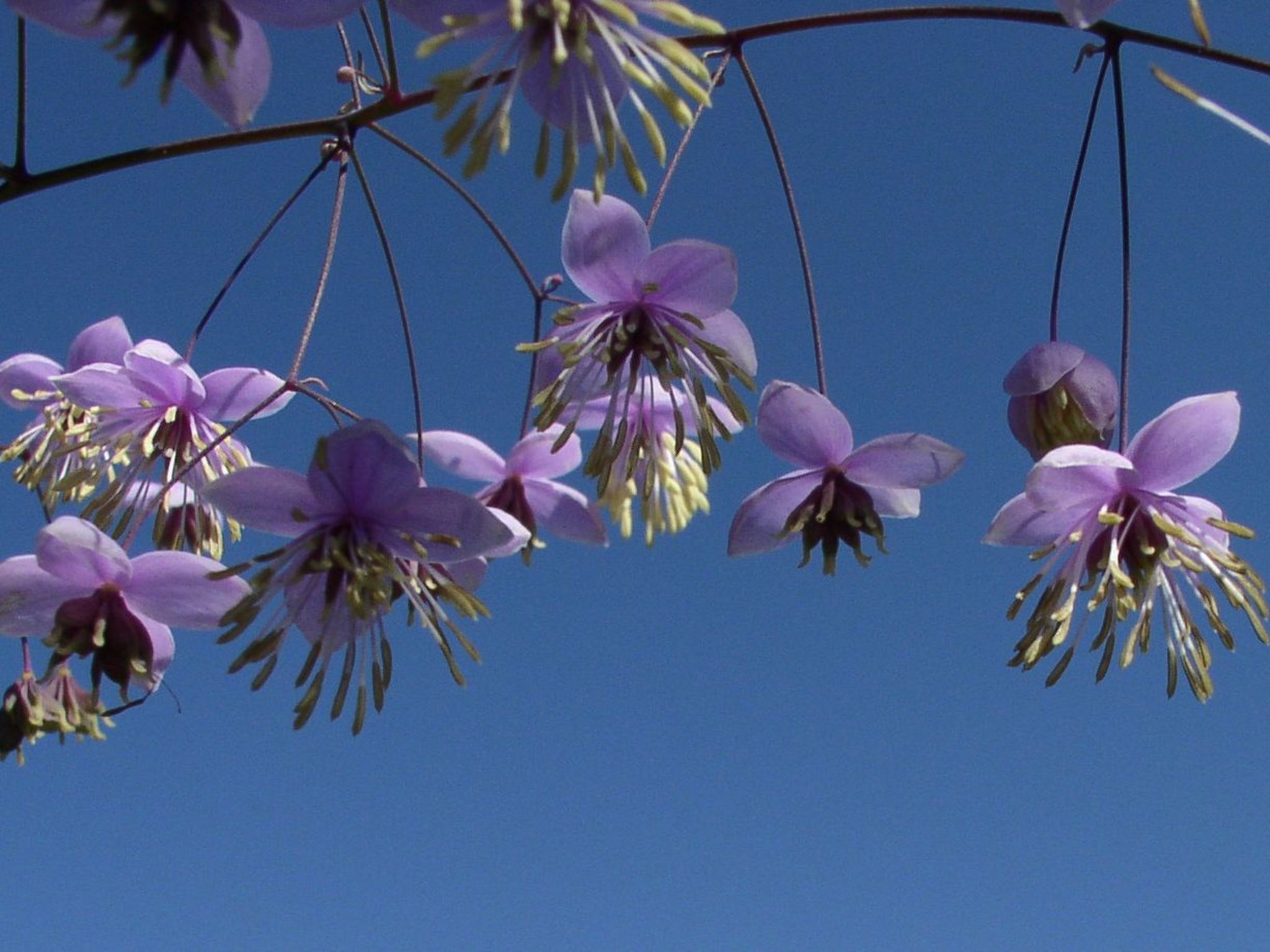 Appartement mit Wallbox-Image-tags.info