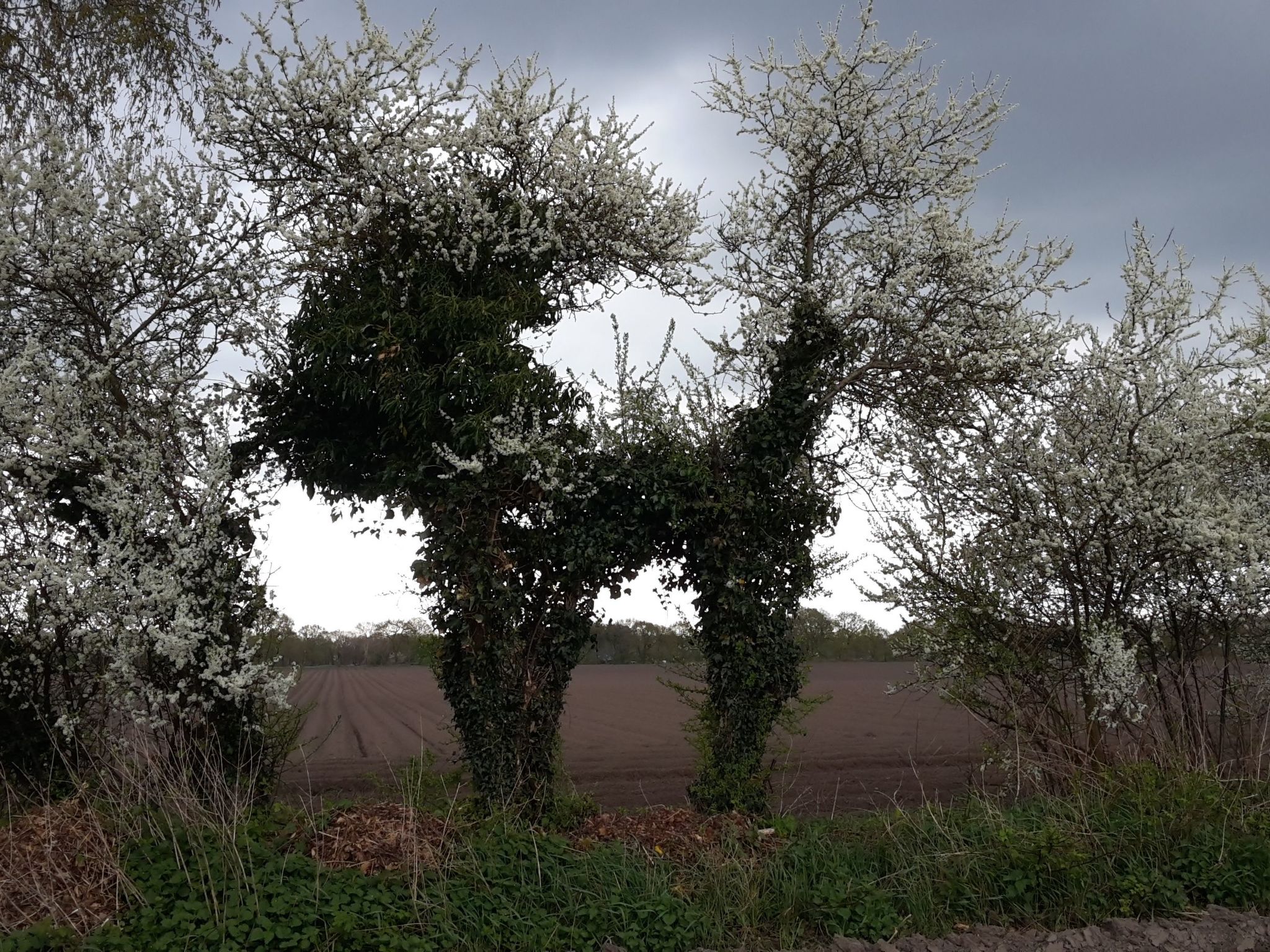 Appartement mit Wallbox-Image-tags.info