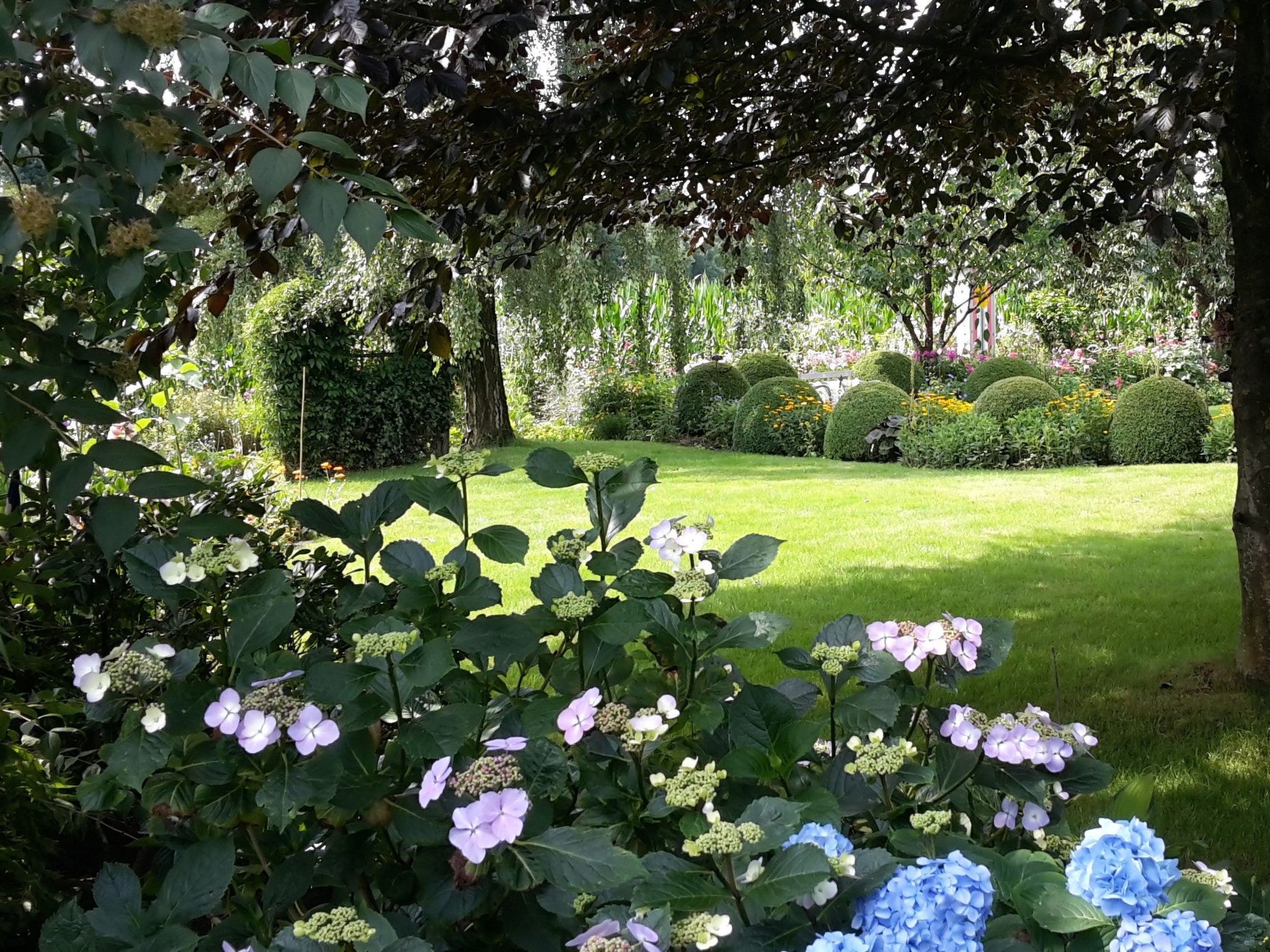 Appartement mit Wallbox-Image-tags.info