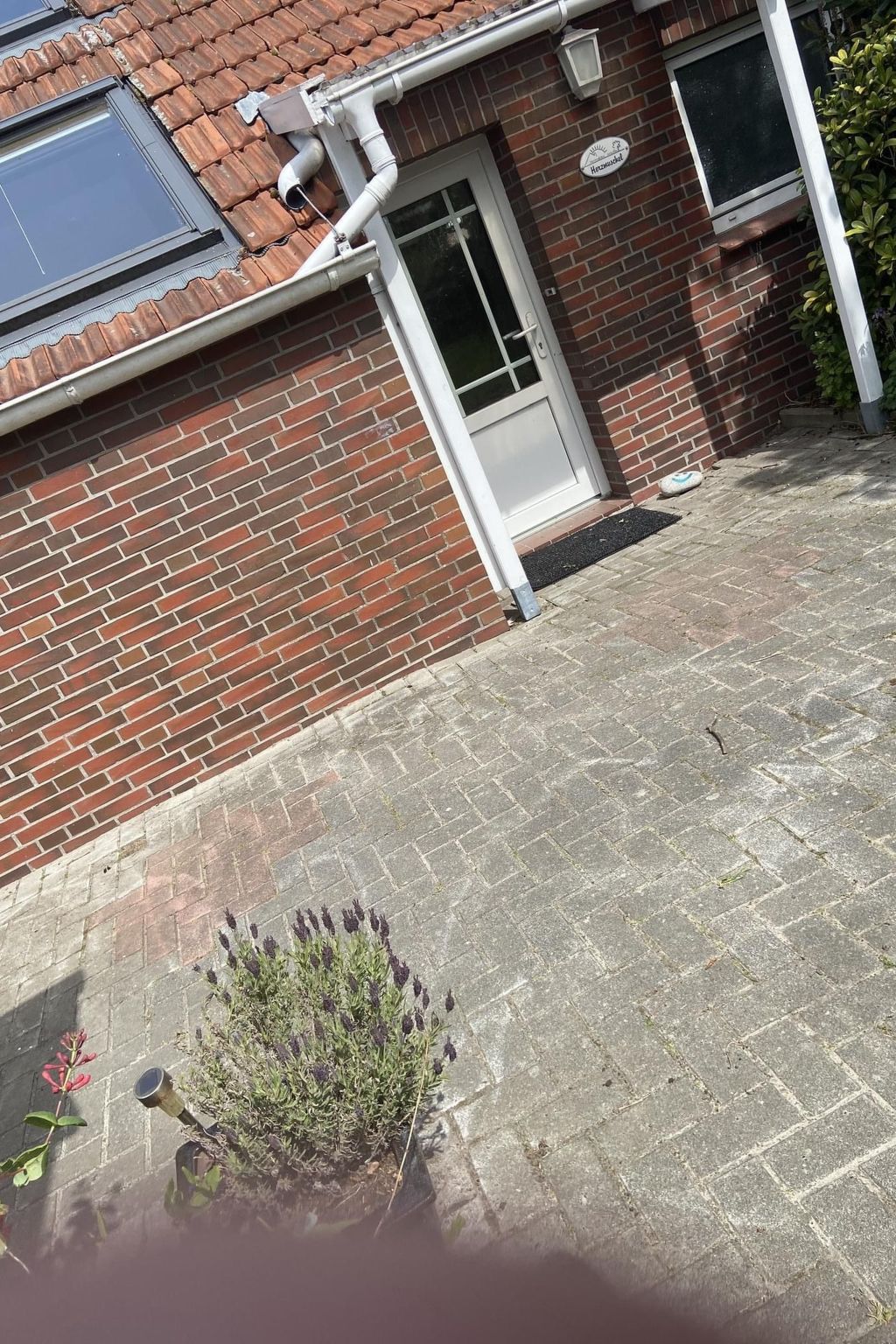 Leschin - Ferienwohnung Herzmuschel