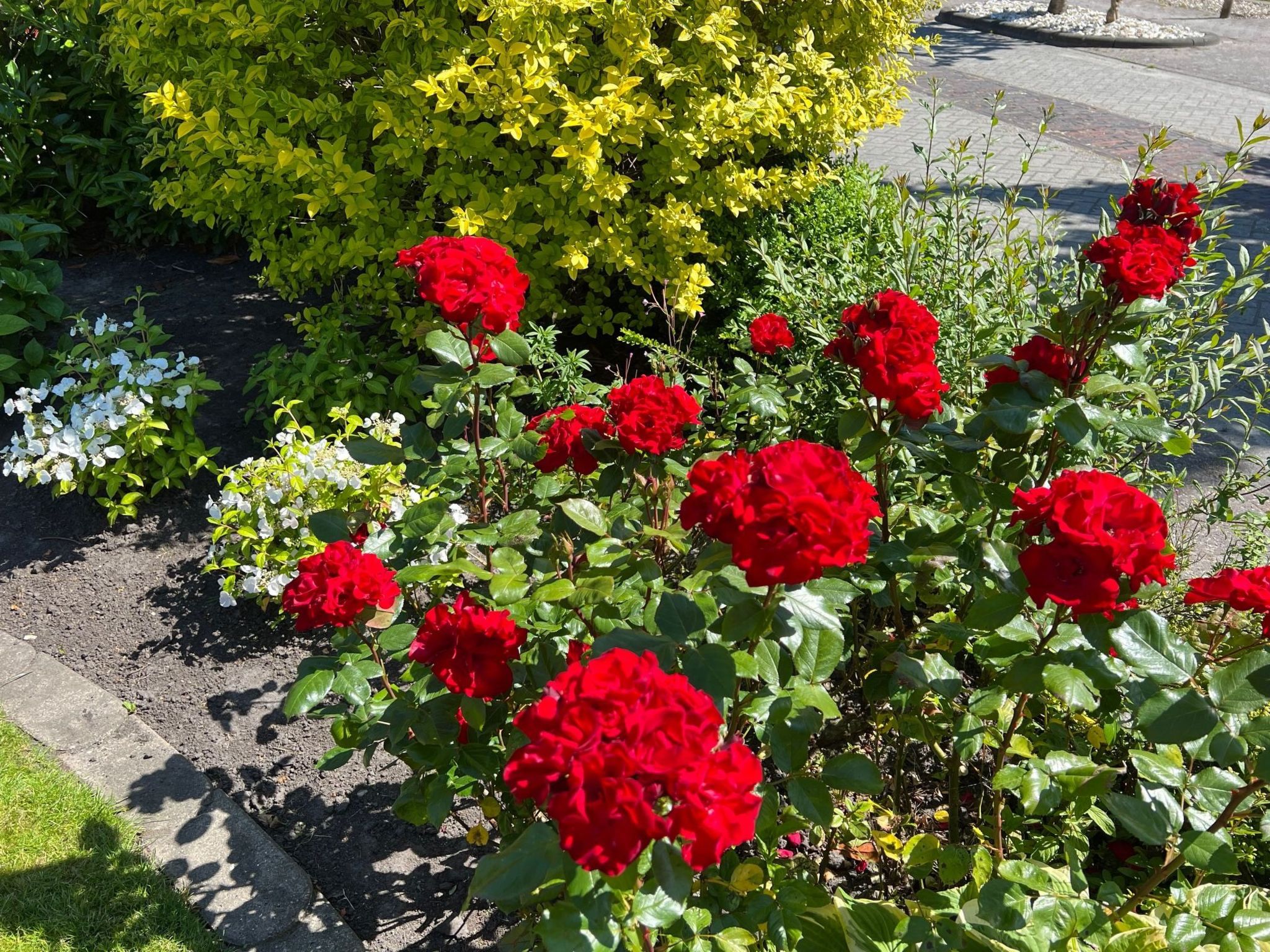 Fewo Strandnah-Image-tags.info