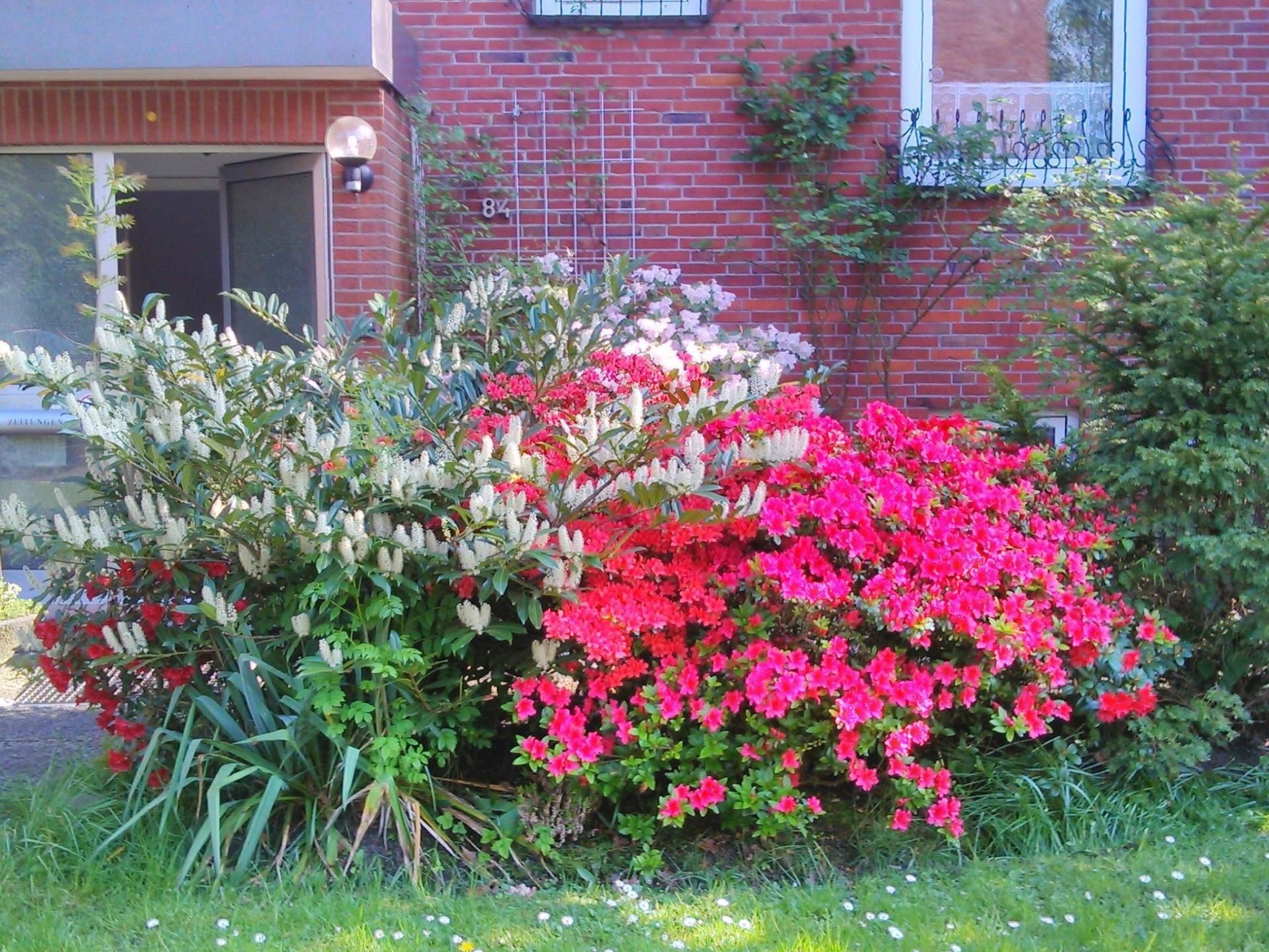 Wohnung in Altengroden mit Garten-Binnen
