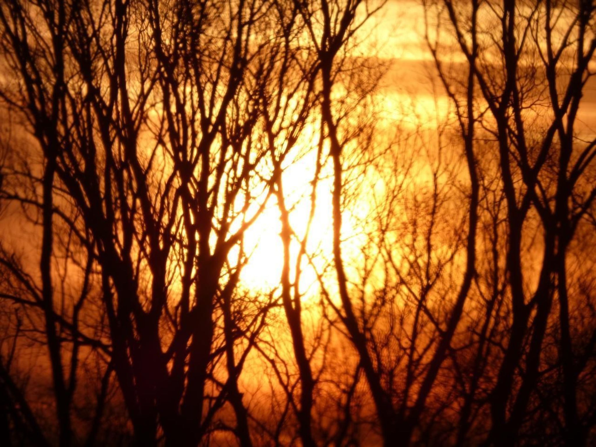 An der Flut 269-Image-tags.info