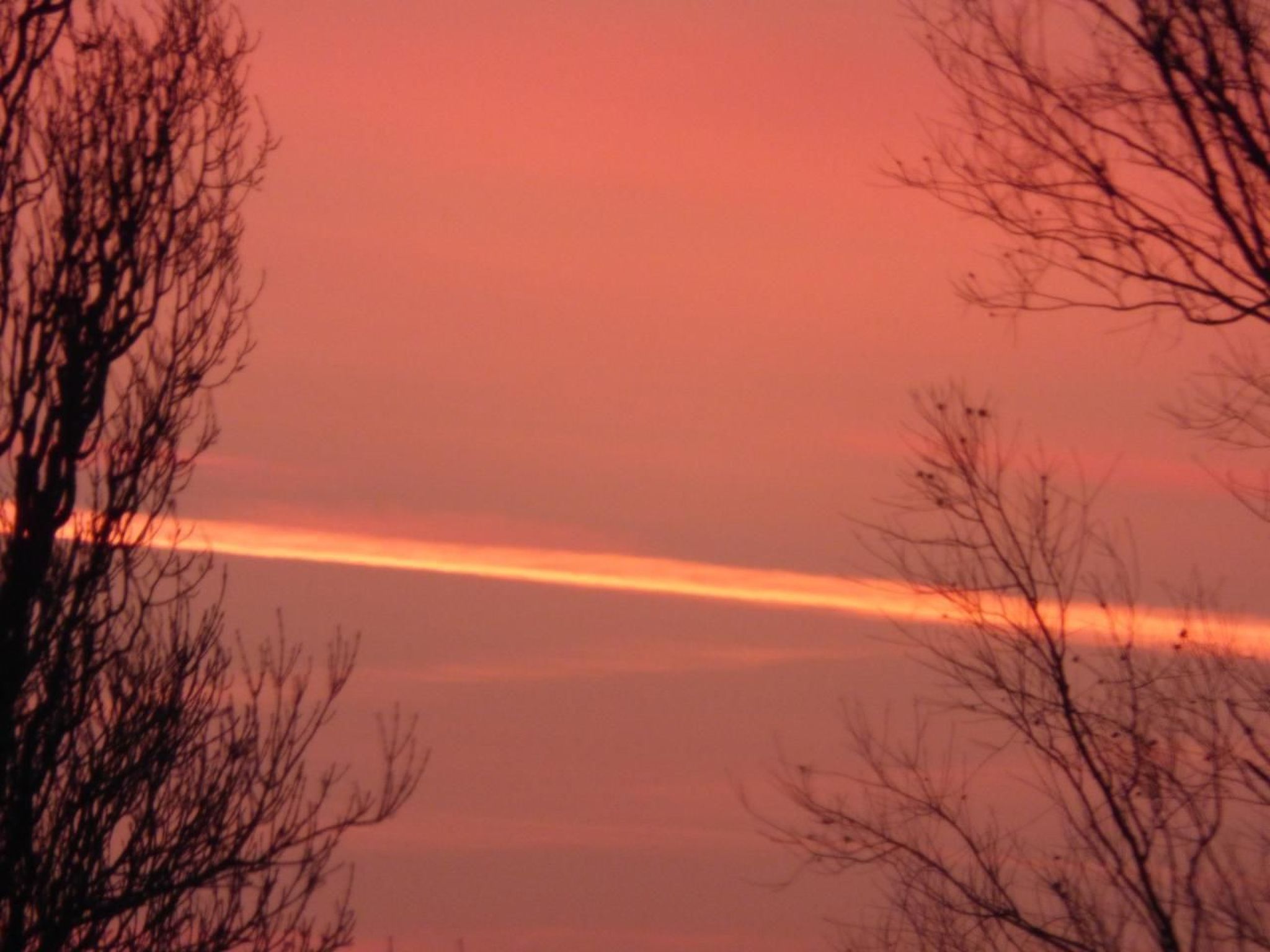 An der Flut 269-Image-tags.info