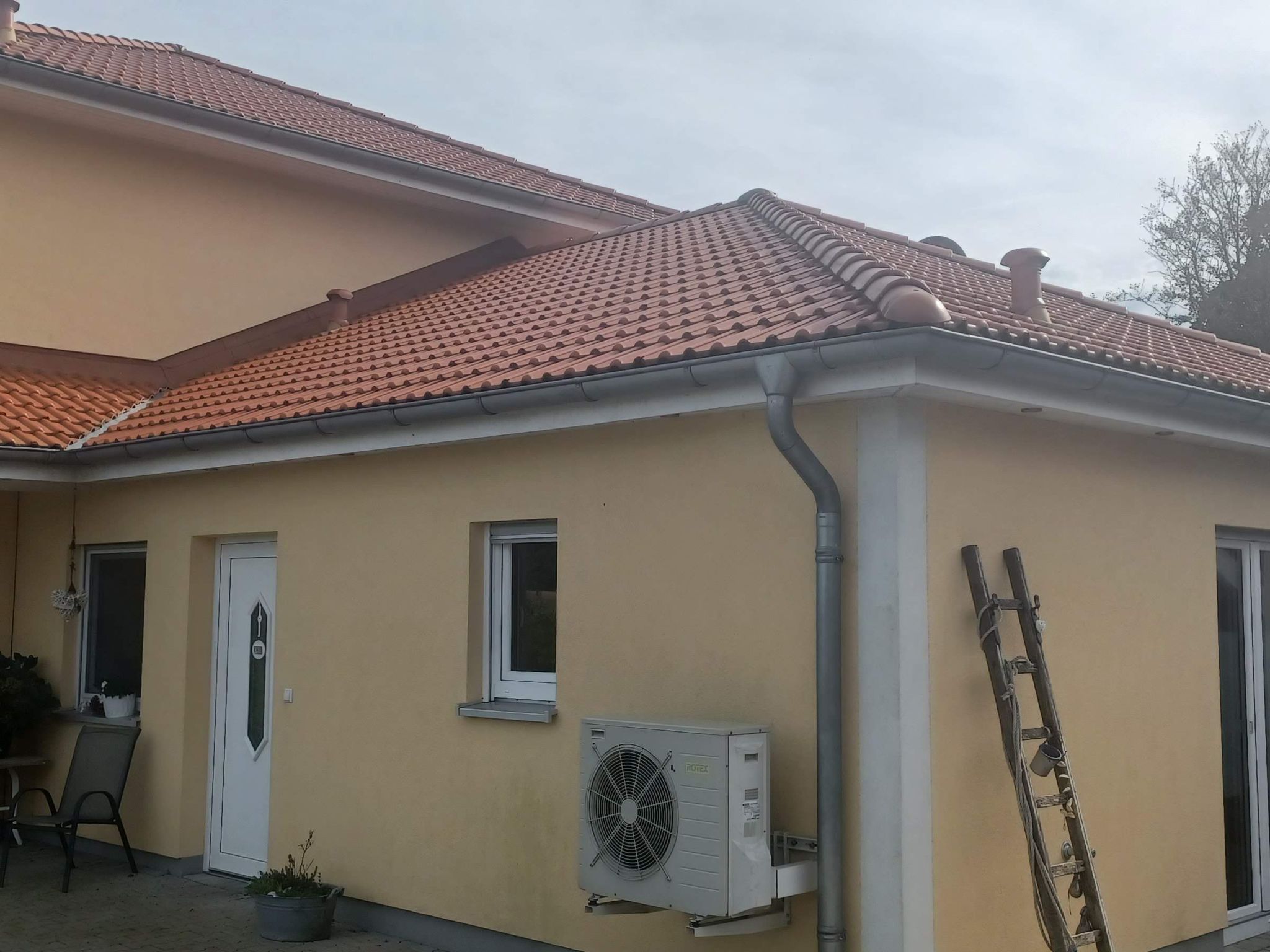 Luisa klein in Aurich-Tannenhausen