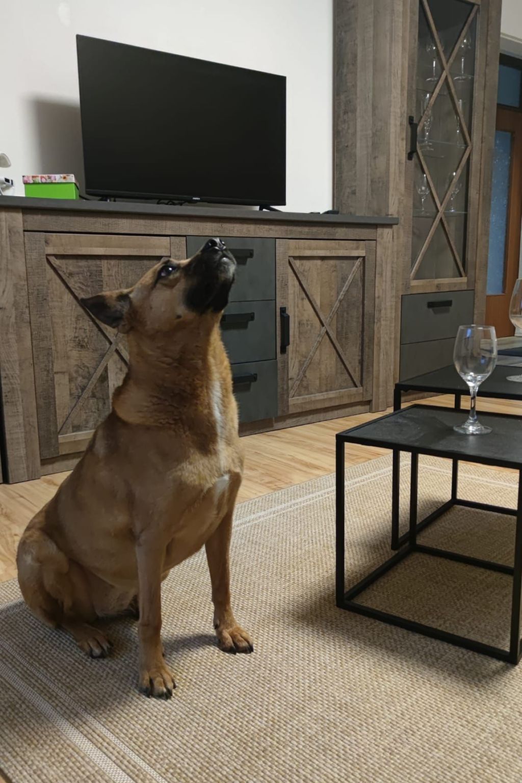 Das Familienreich-Inside