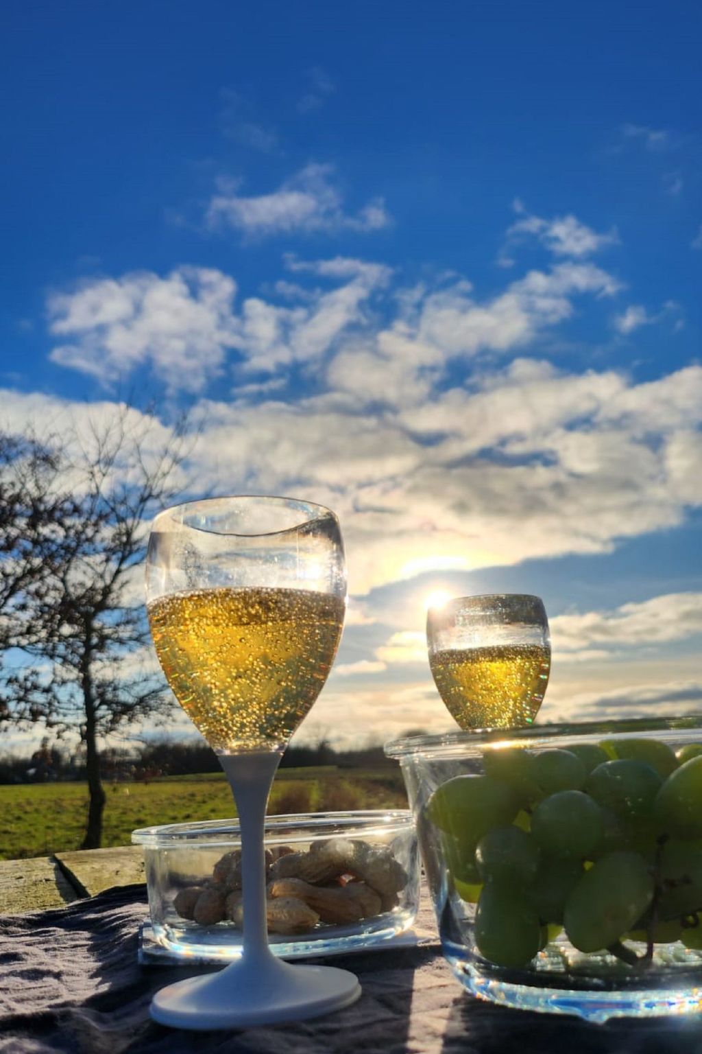 Das Familienreich-Inside