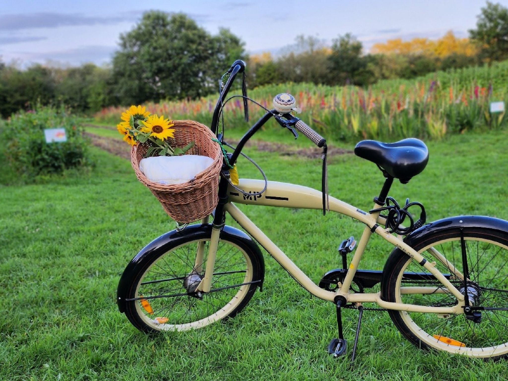 Das Familienreich-Inside