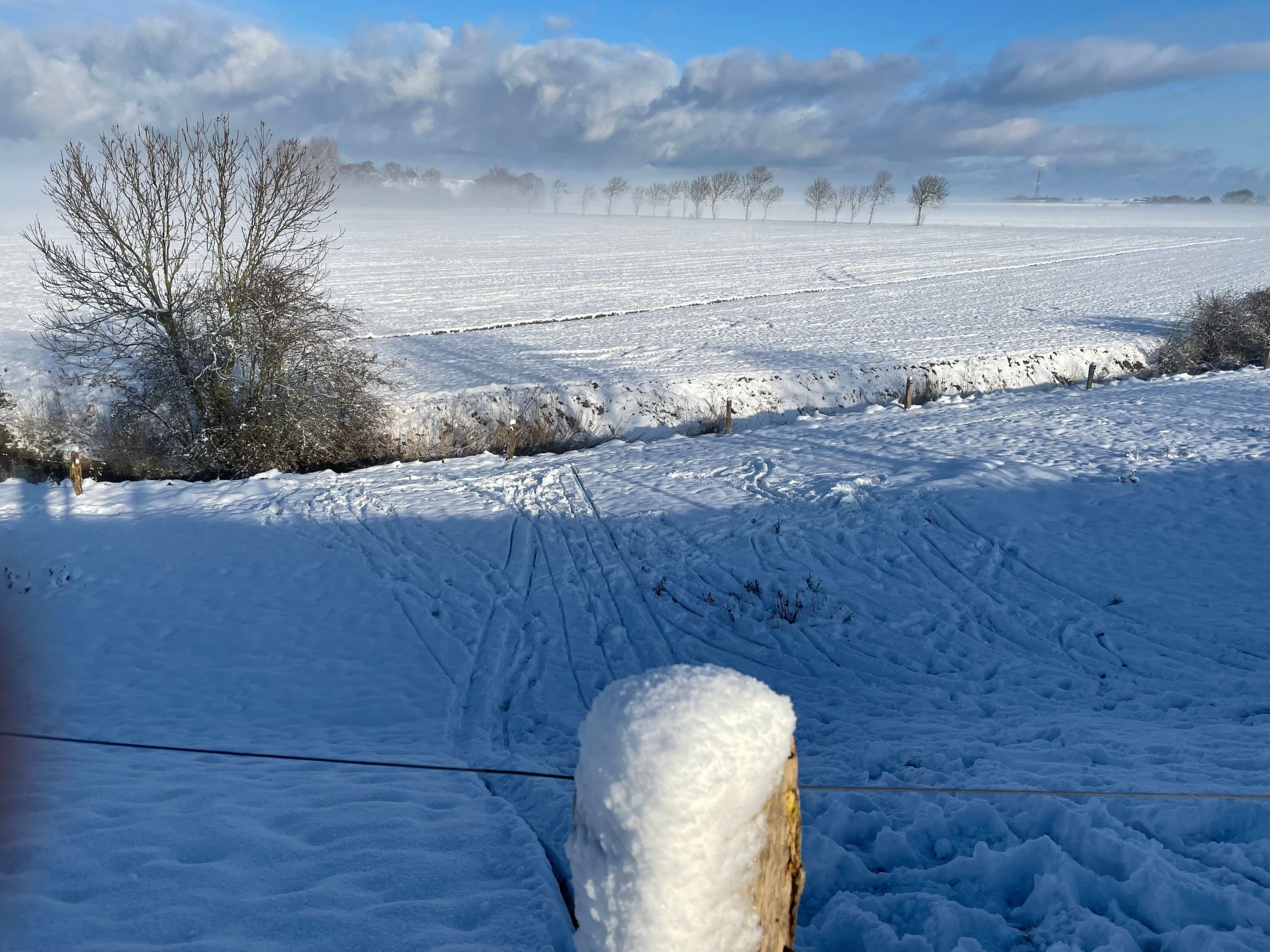 Deichstraße 101-Dedans