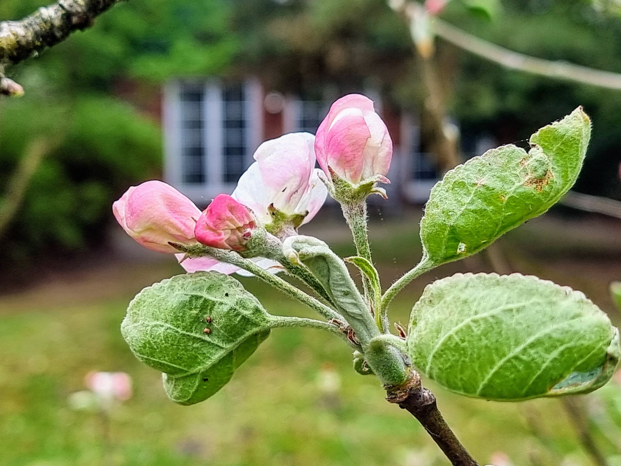 Urlaub auf dem Reithof mit Klavier-Image-tags.info