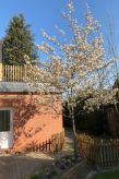 Vrijstaand vakantiehuis Haus am Reithmoor met haard en omheinde tuin in Großefehn - thumbnail 6
