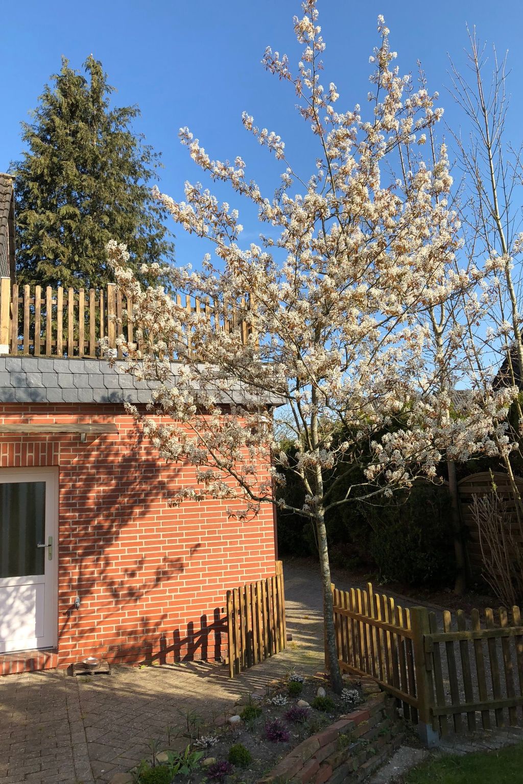 Haus am Reithmoor-Binnen