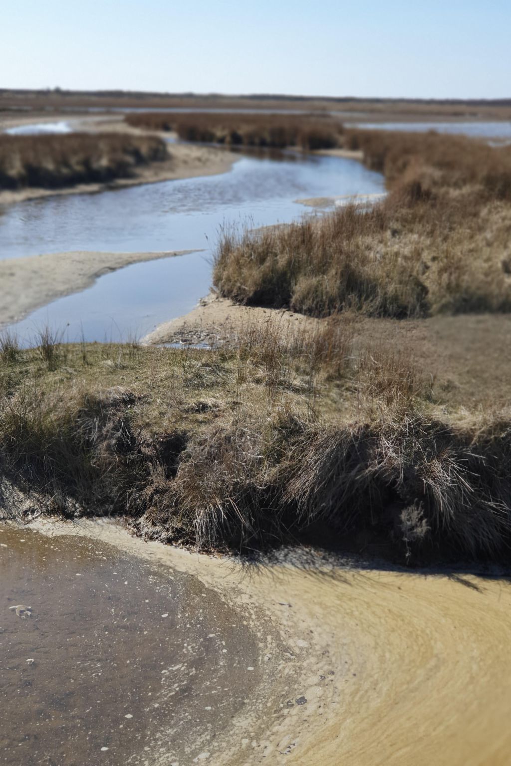 Apartment mit Terrasse am Südstrand-Drinnen