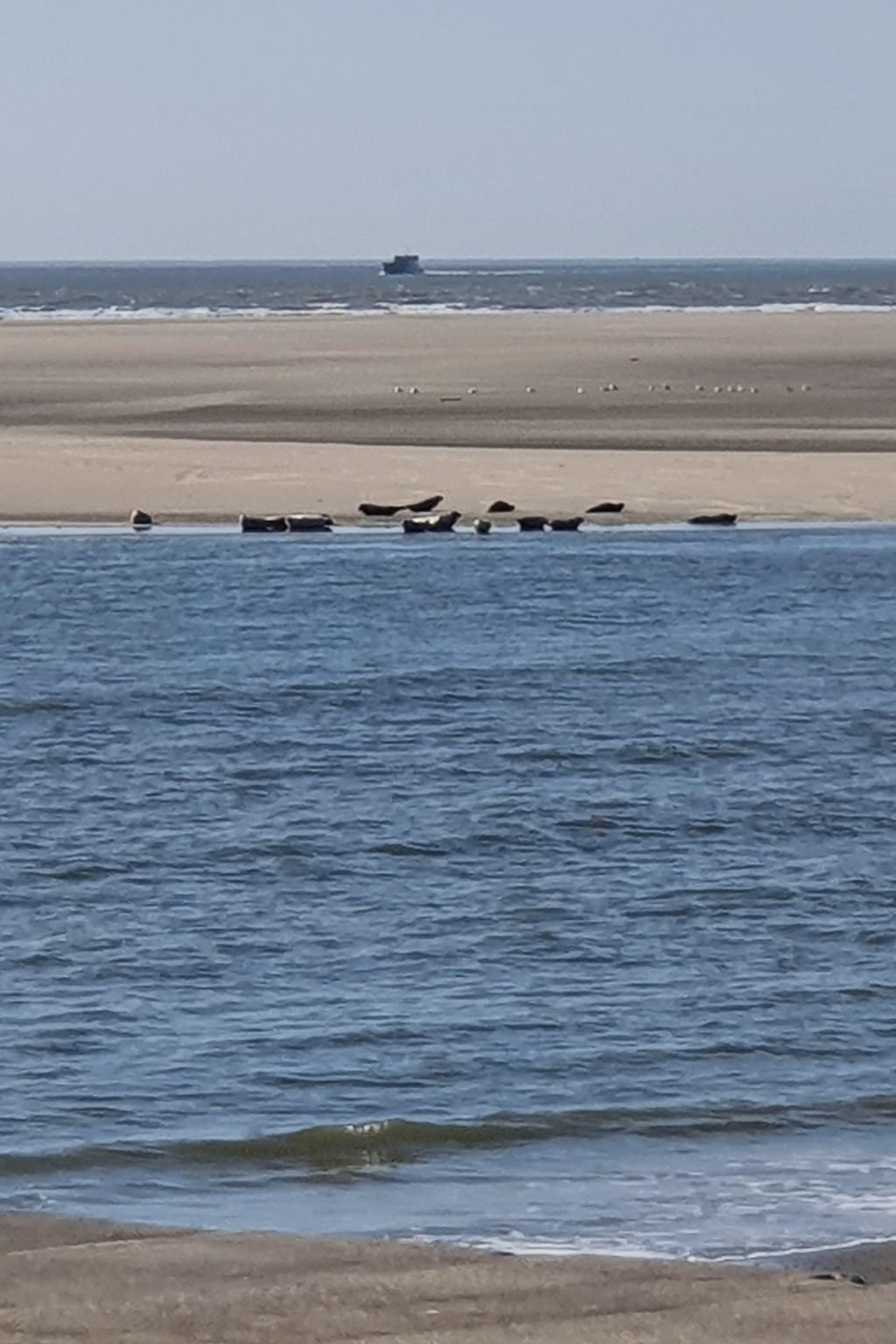 Apartment mit Terrasse am Südstrand-Drinnen