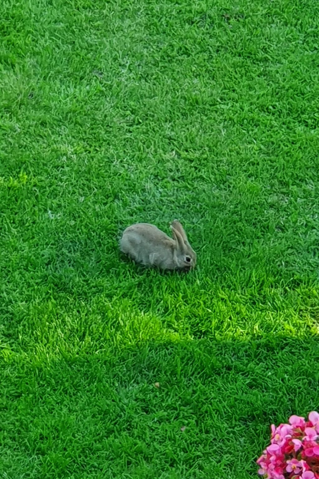 Apartment mit Terrasse am Südstrand-Drinnen